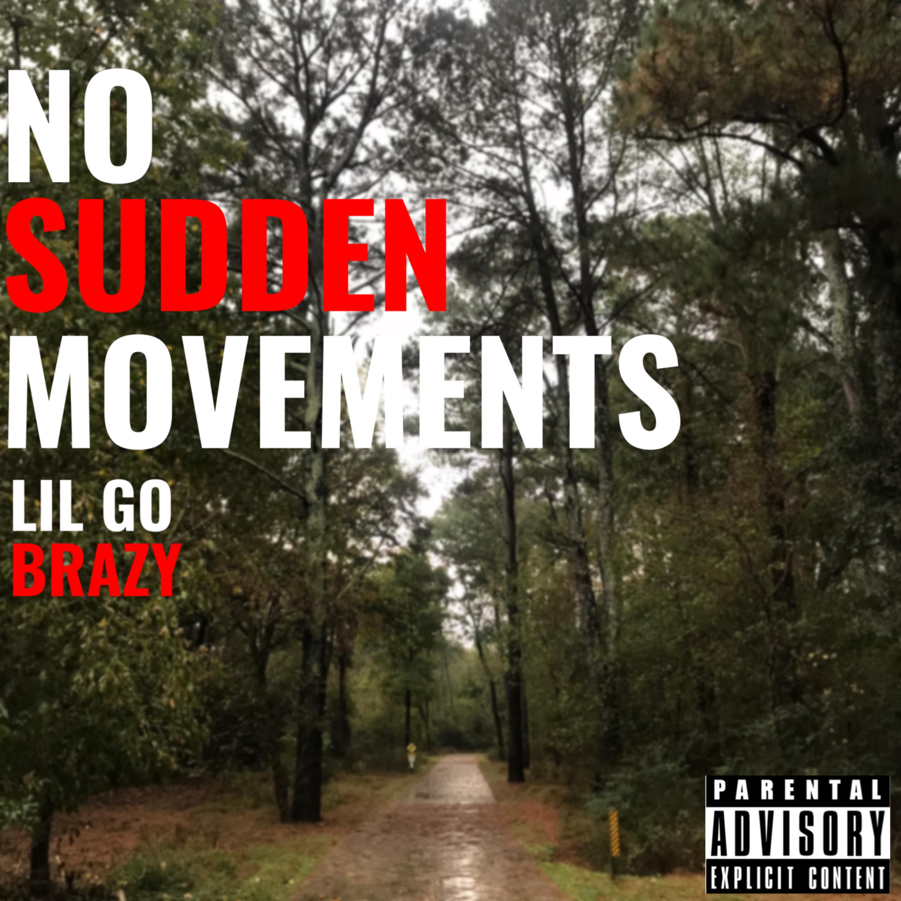 No Sudden Movements artwork