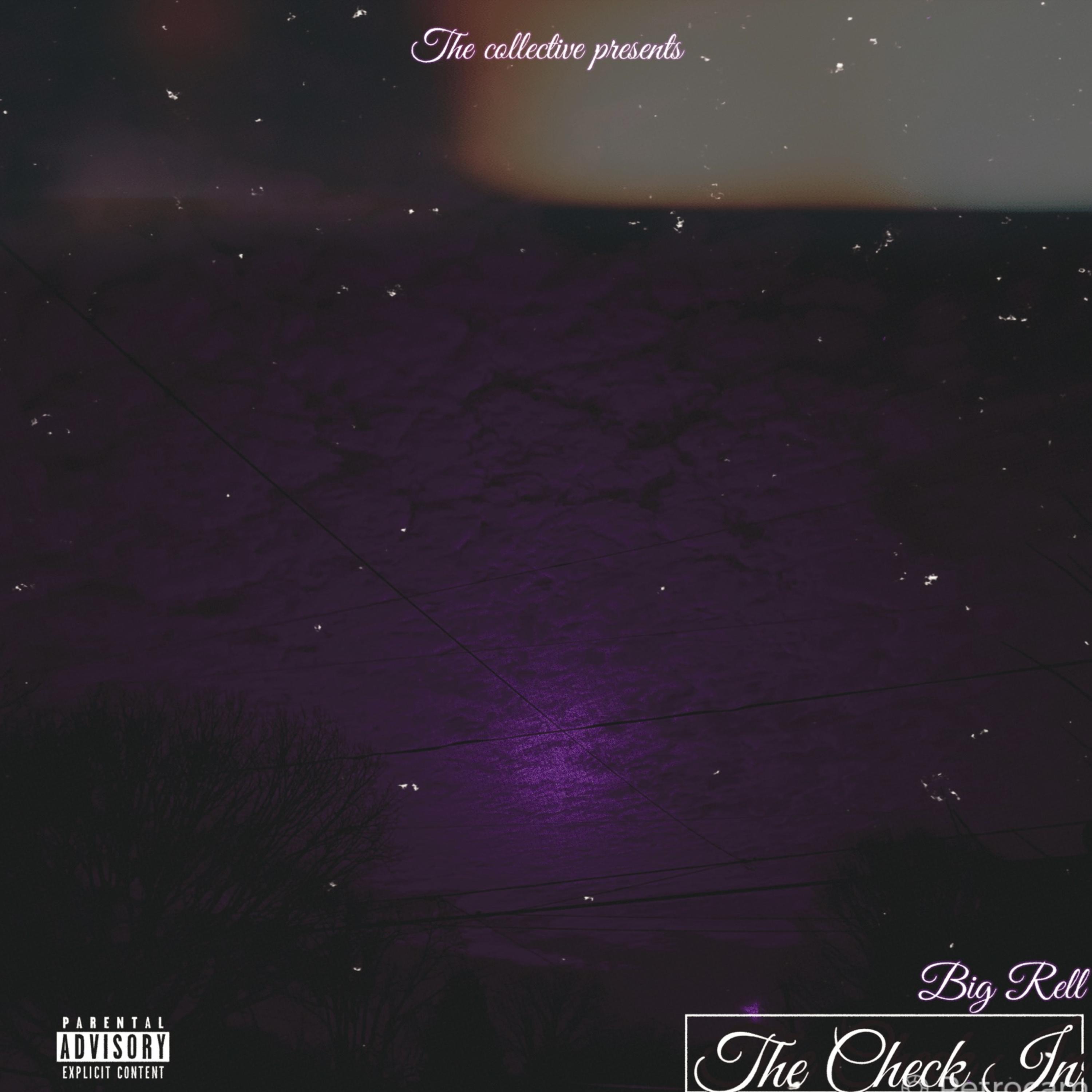 The Check In artwork