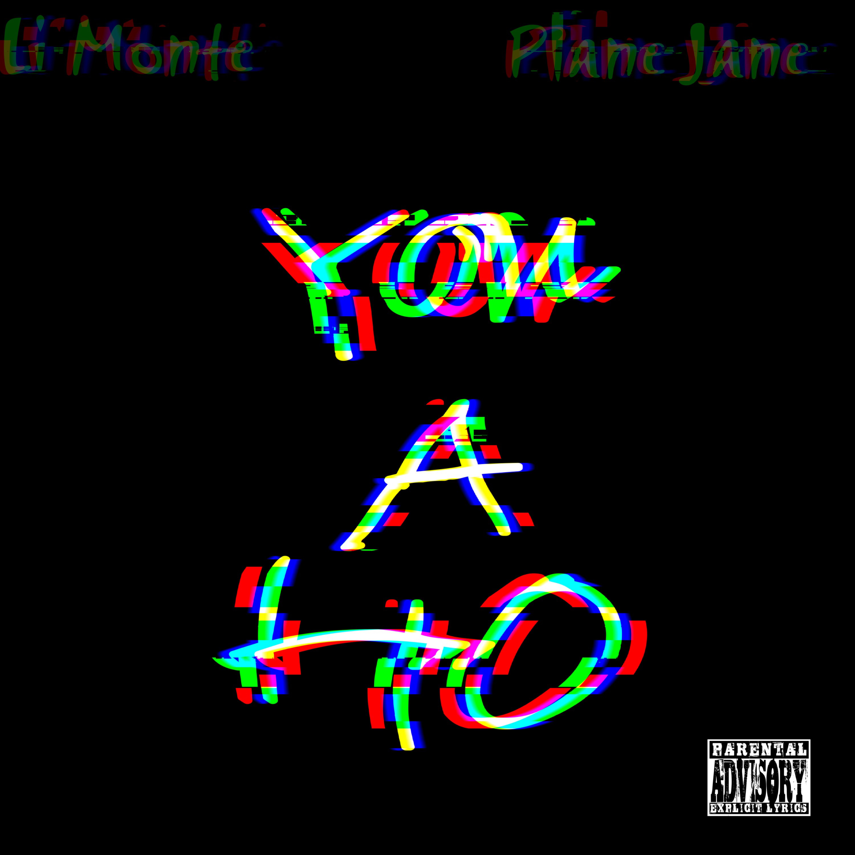 You A Ho by Plane Jane cover art