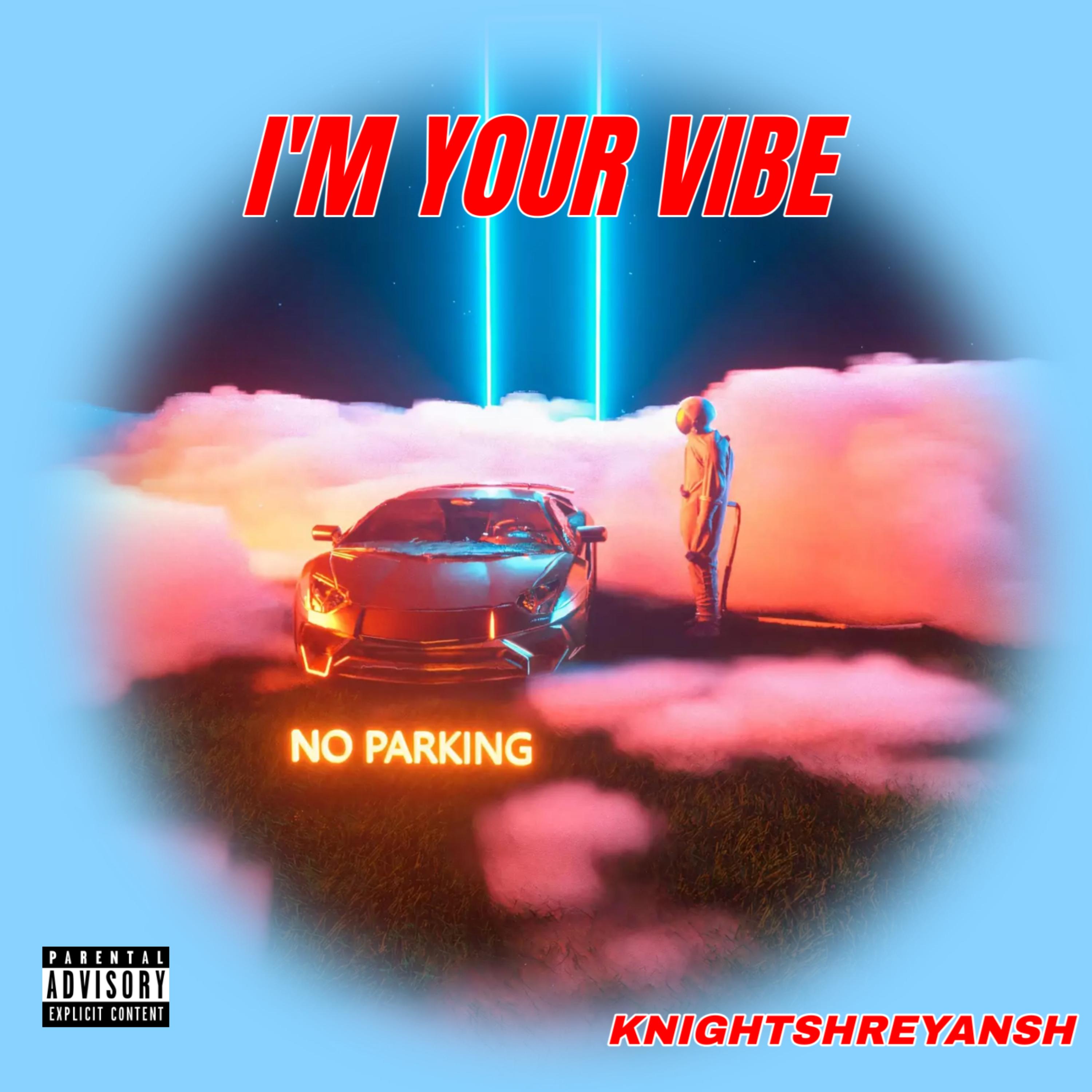 I'M YOUR VIBE artwork