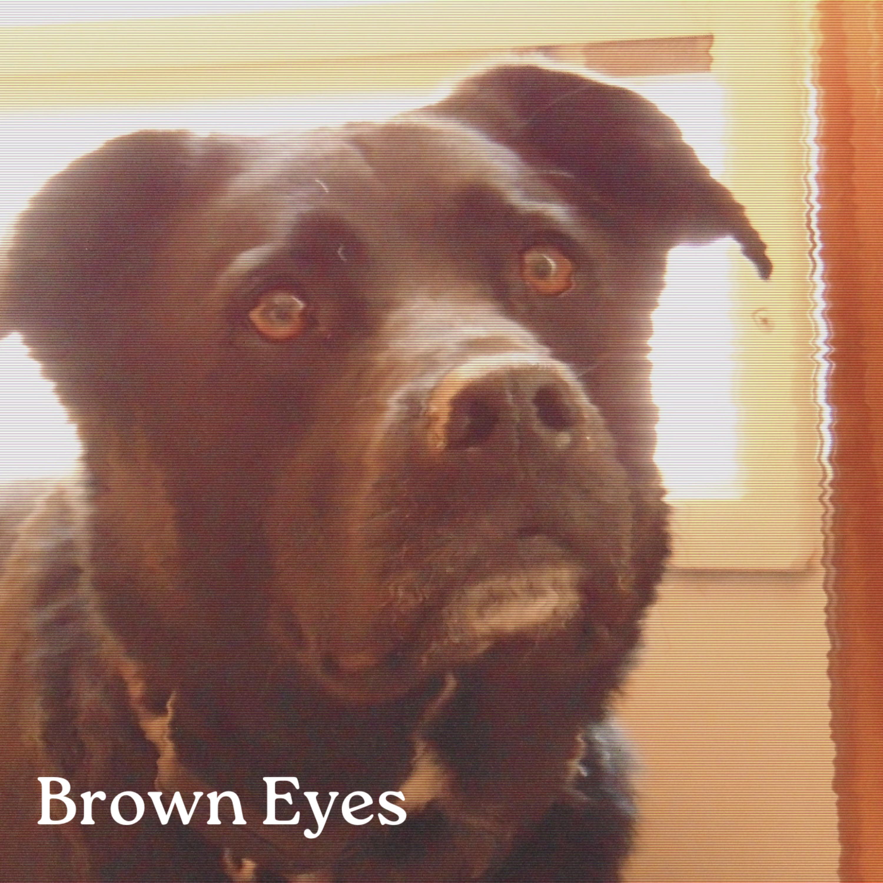Brown Eyes artwork