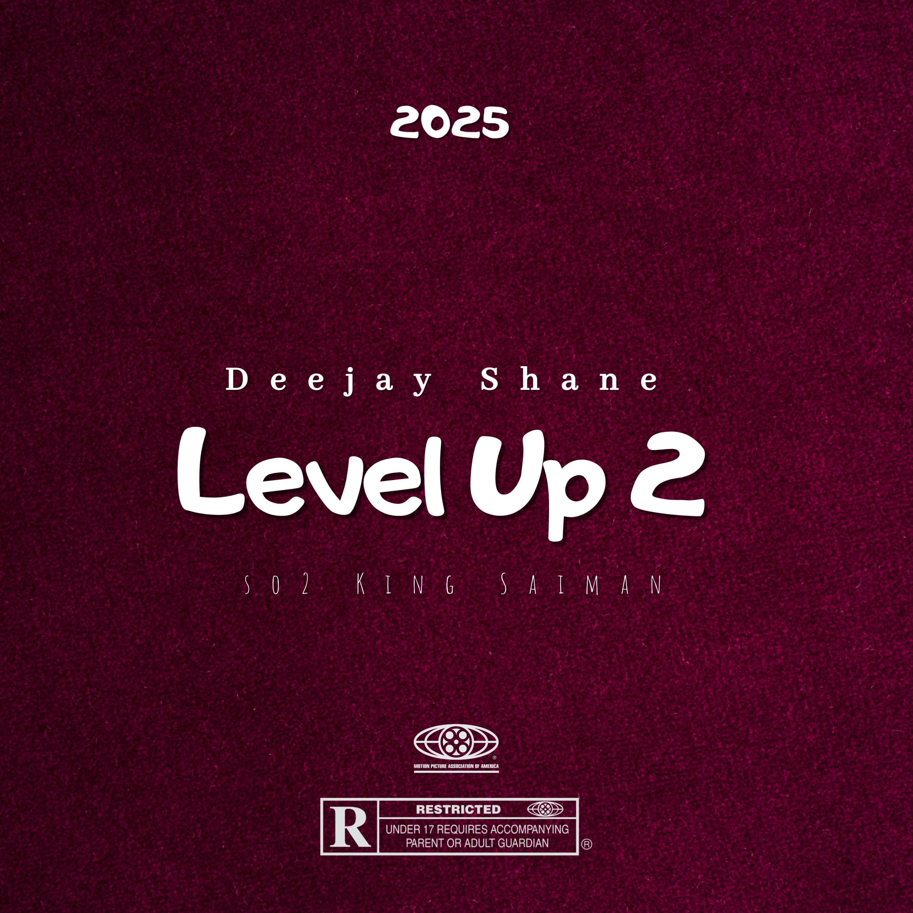 Level Up 2 artwork