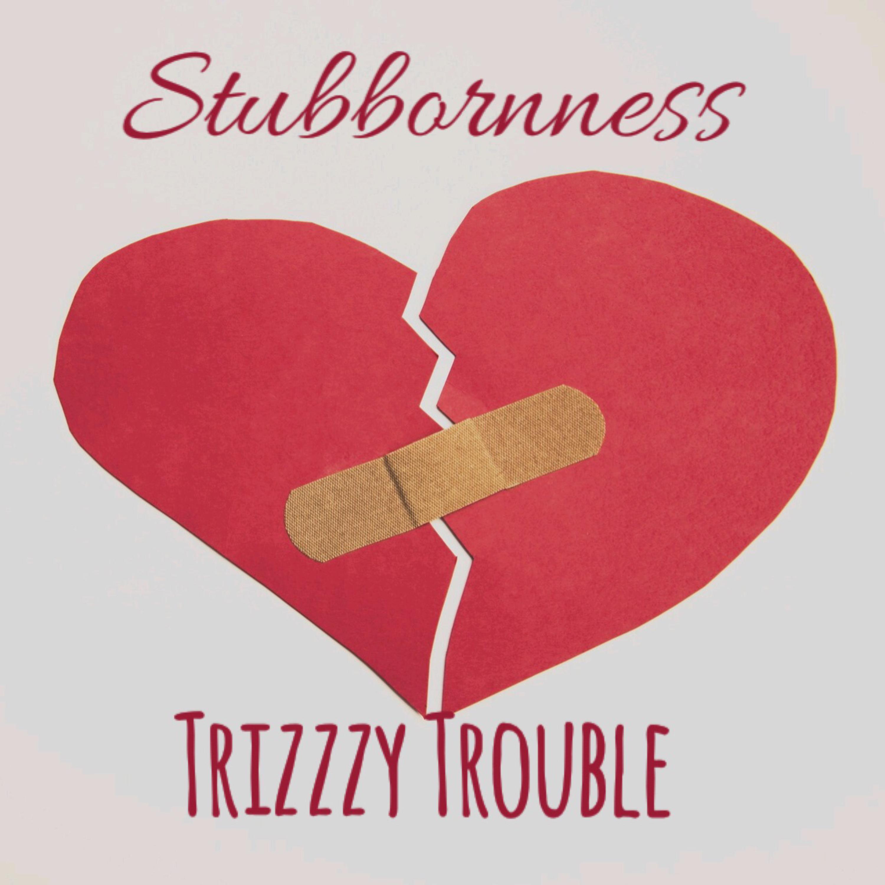 StuBbornness artwork