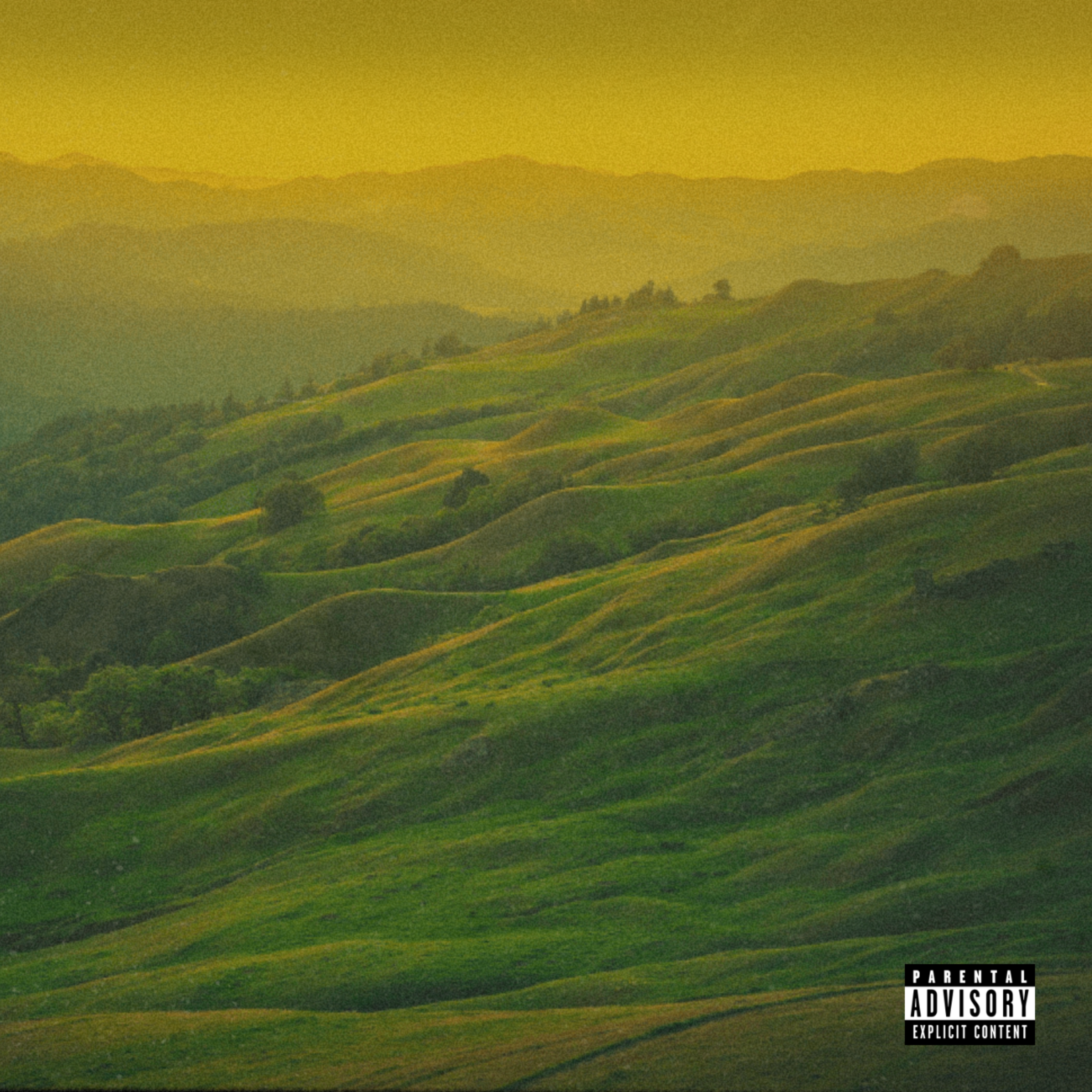 Forgiveness artwork