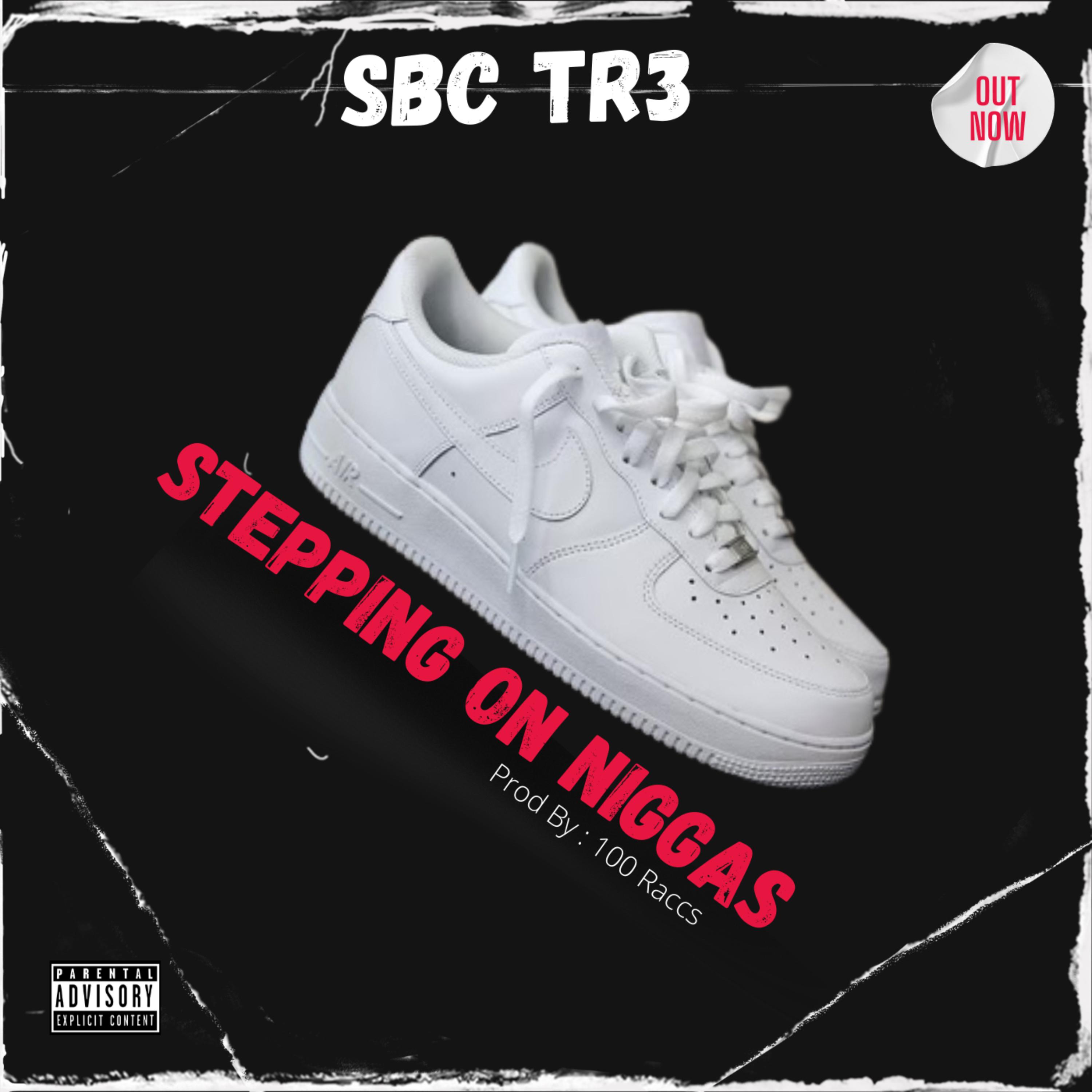 Stepping On Niggas artwork
