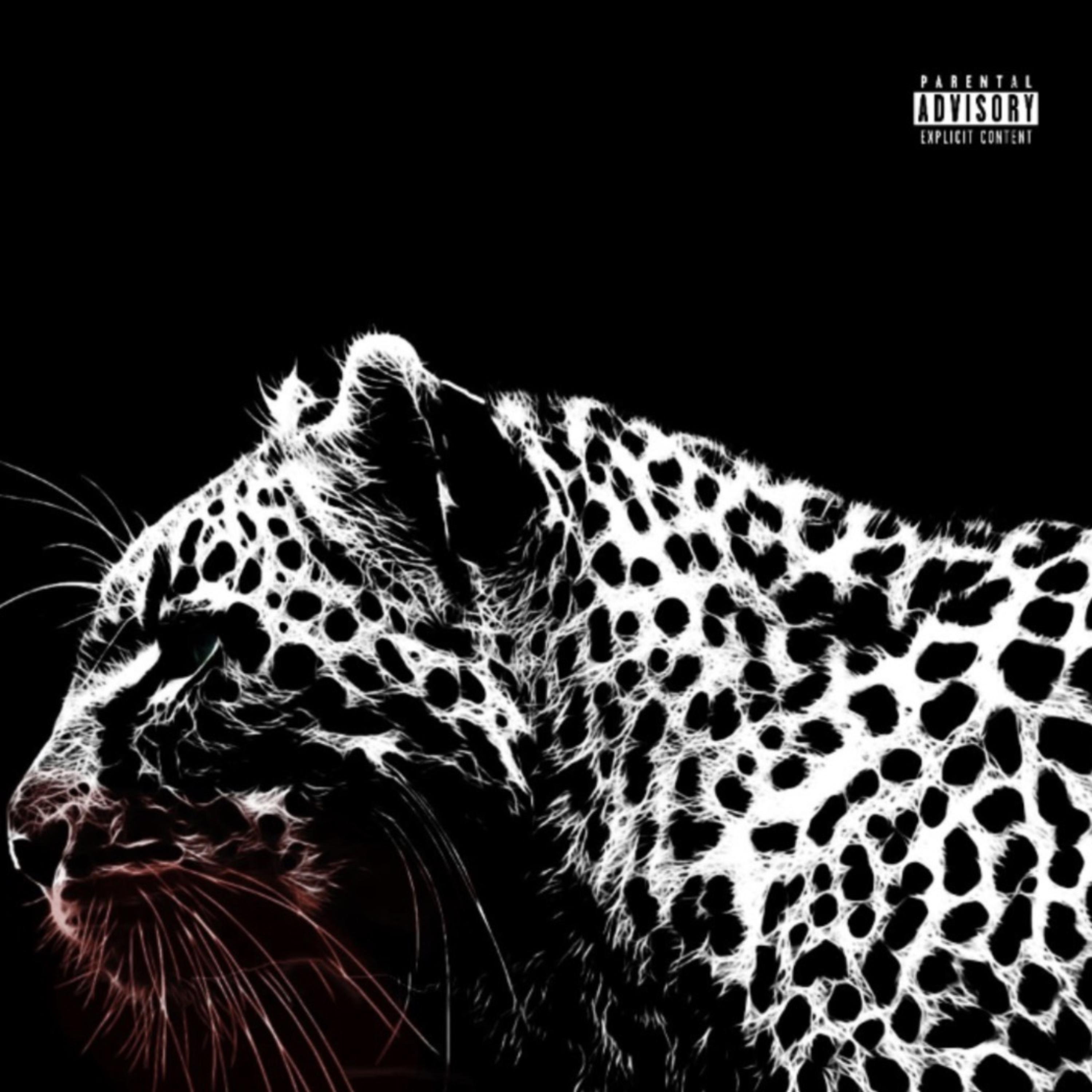 Did It Again artwork