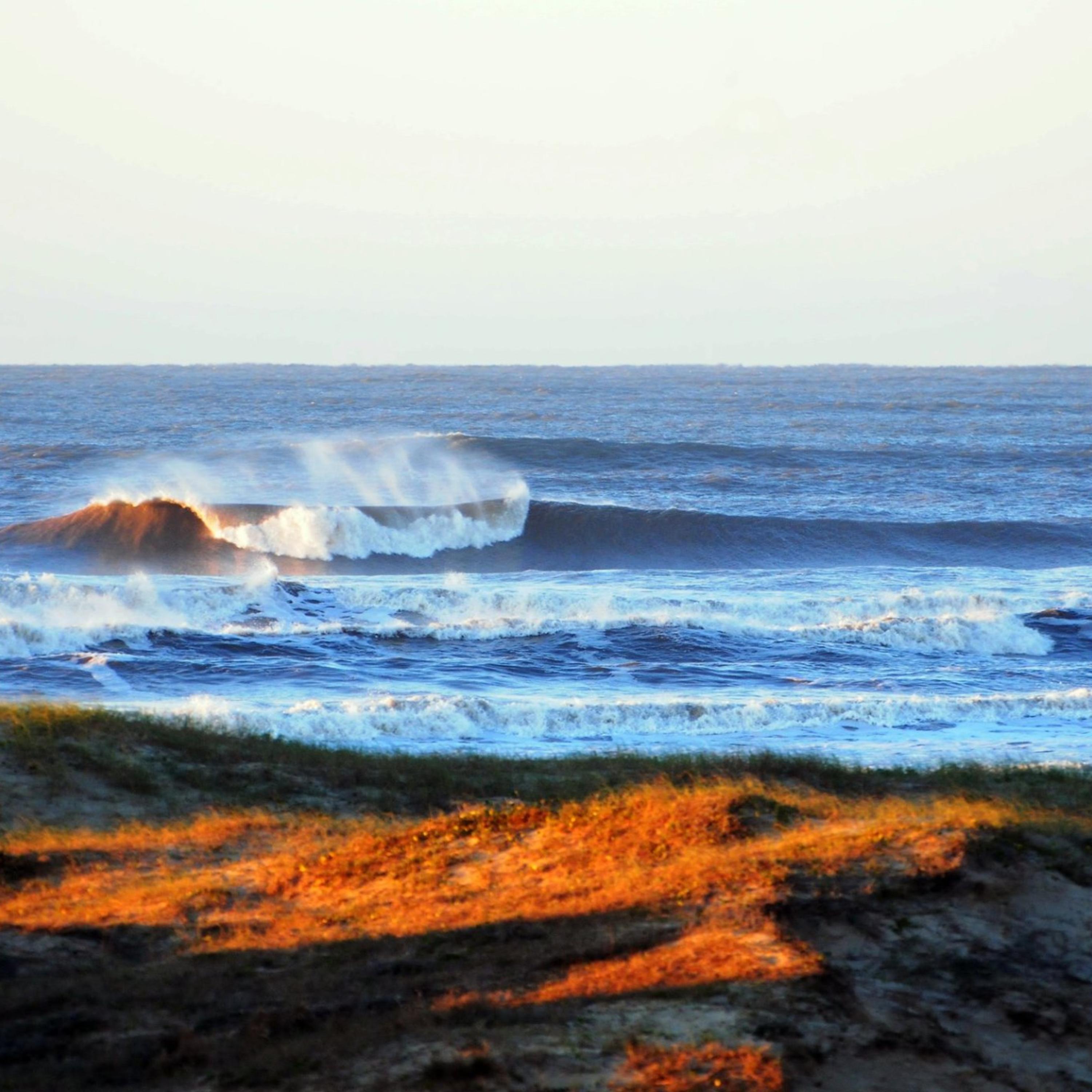 The sea is life artwork