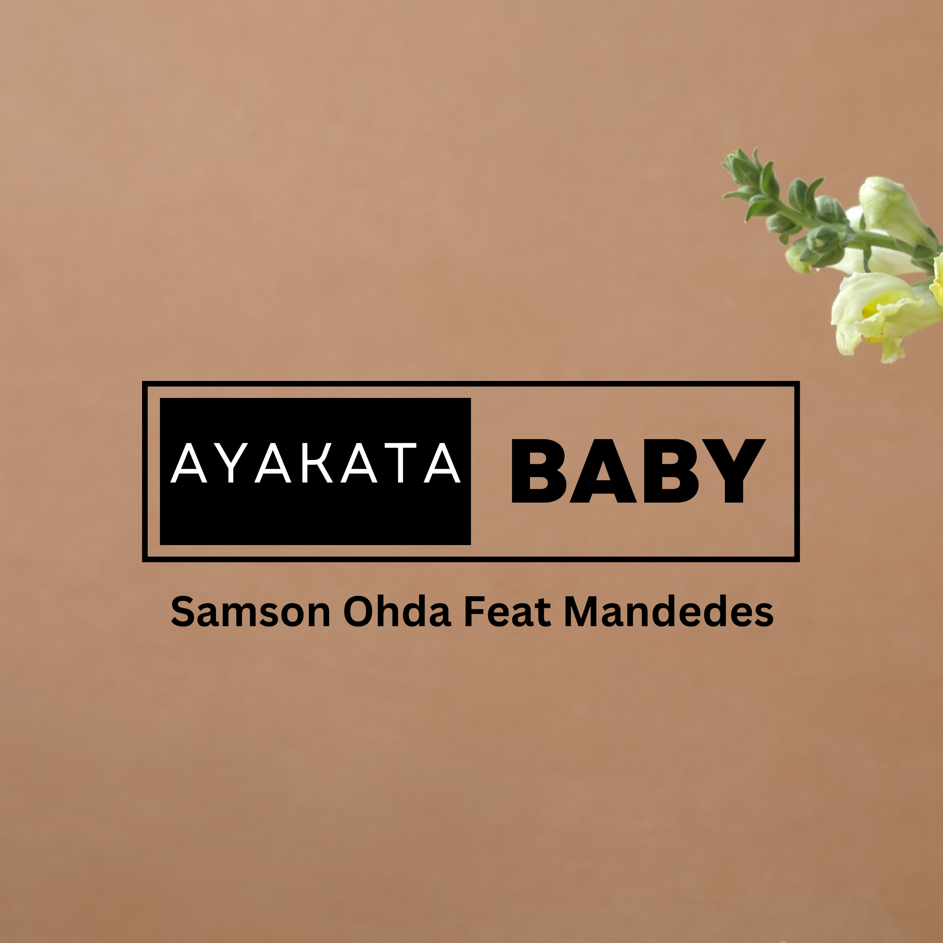 AYAKATA BABY artwork
