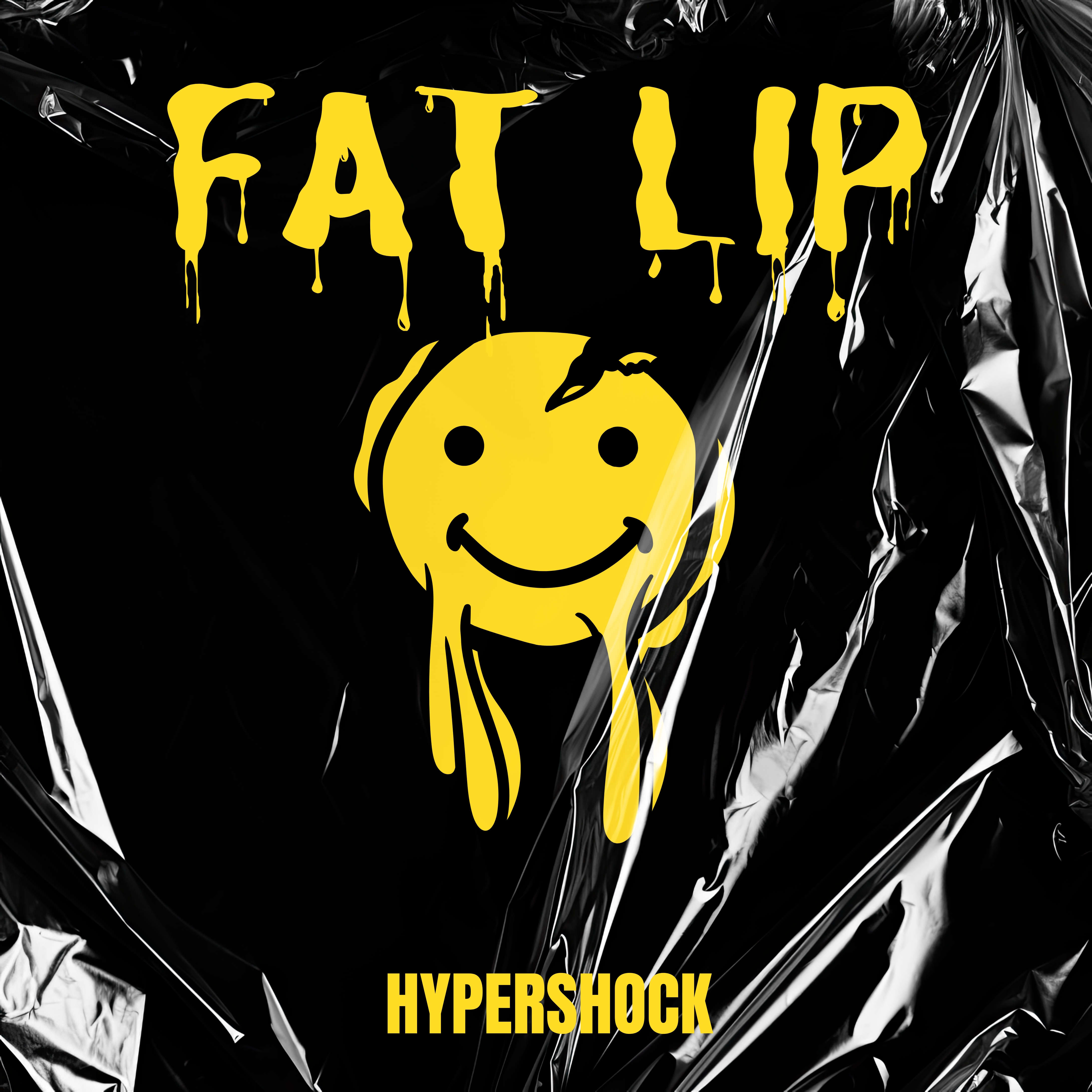 Fat Lip artwork