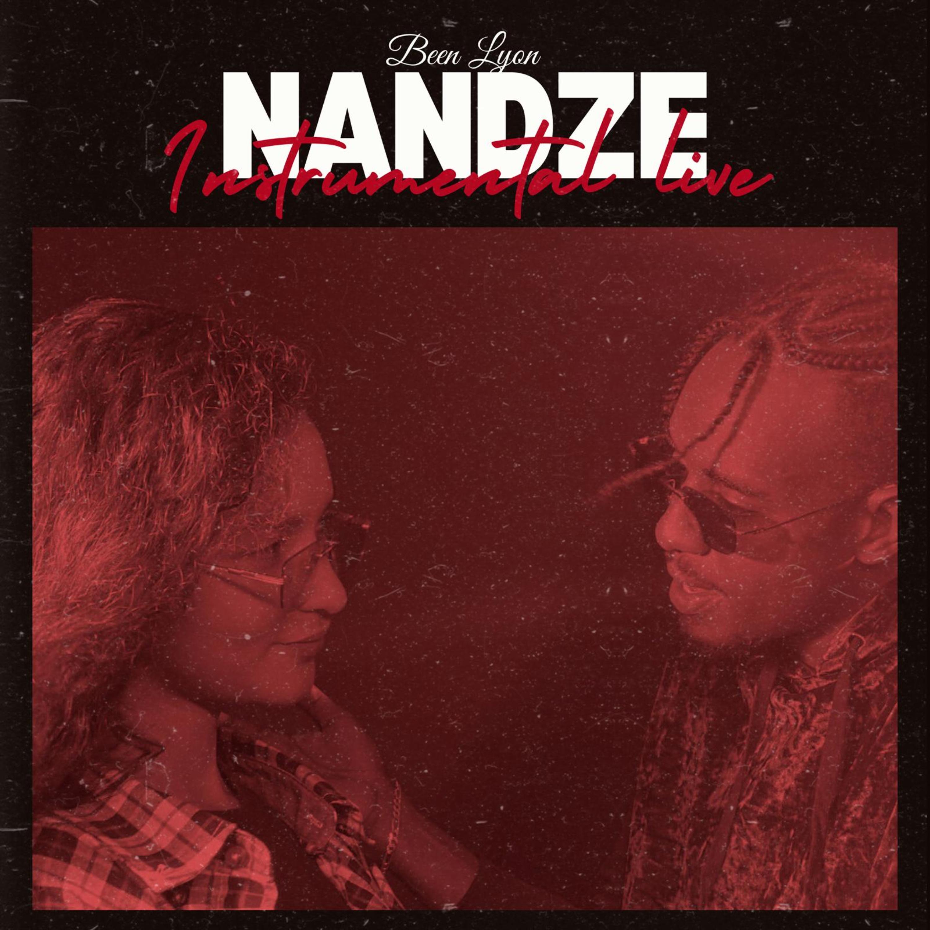 NANDZE artwork