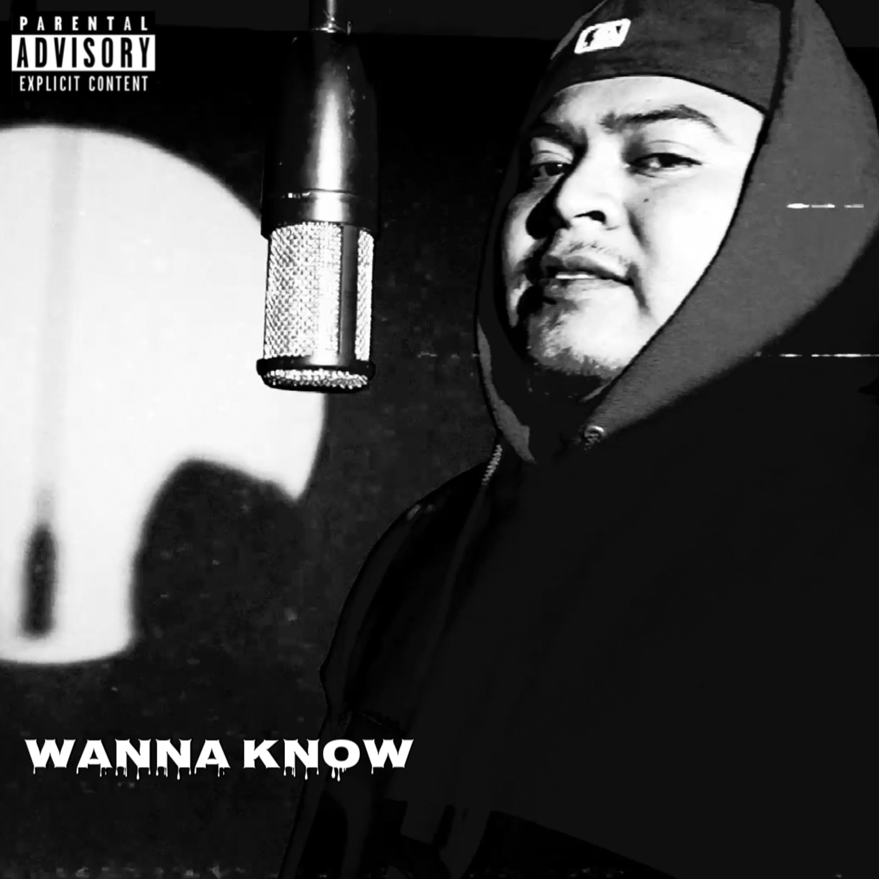 Wanna Know artwork