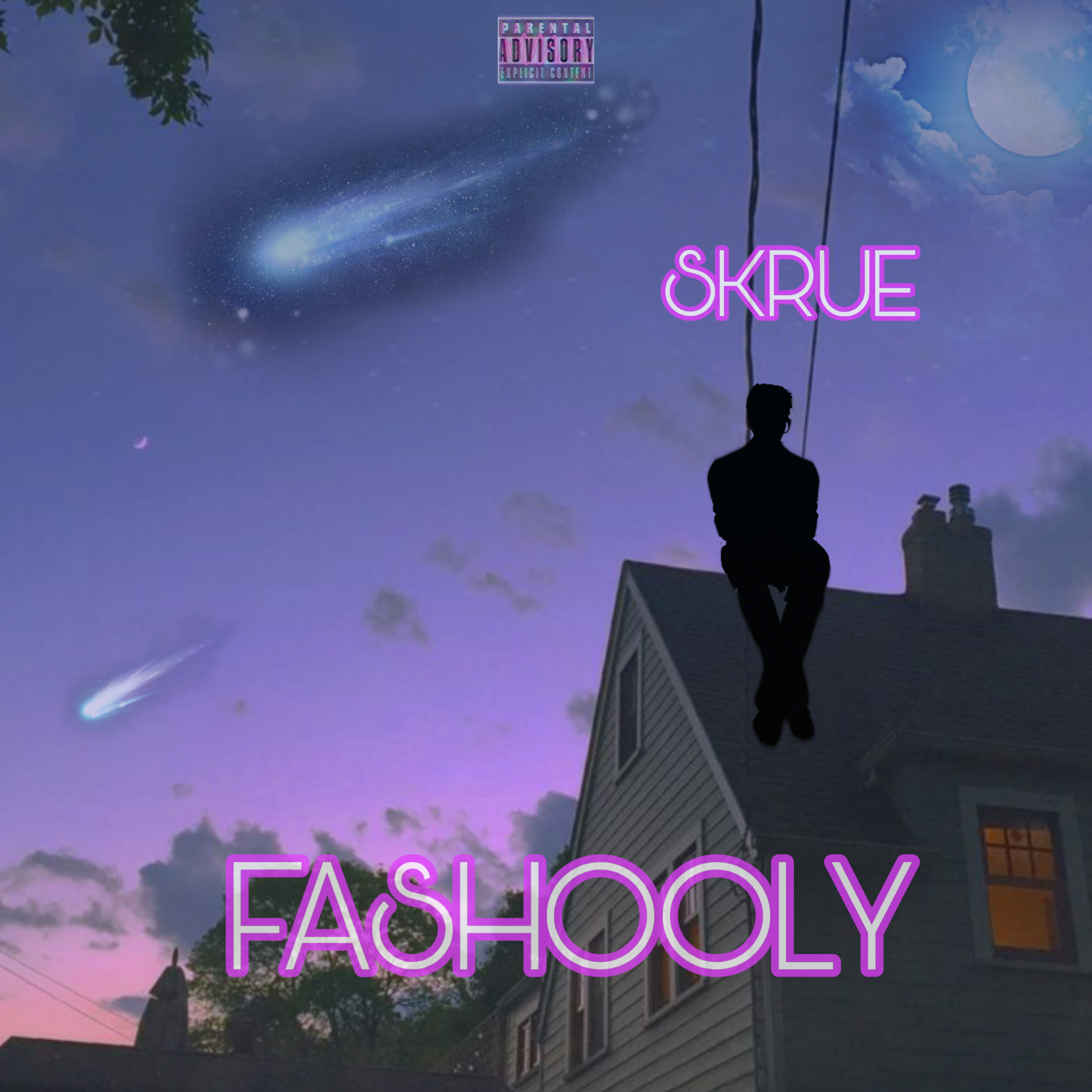 Fashooly artwork