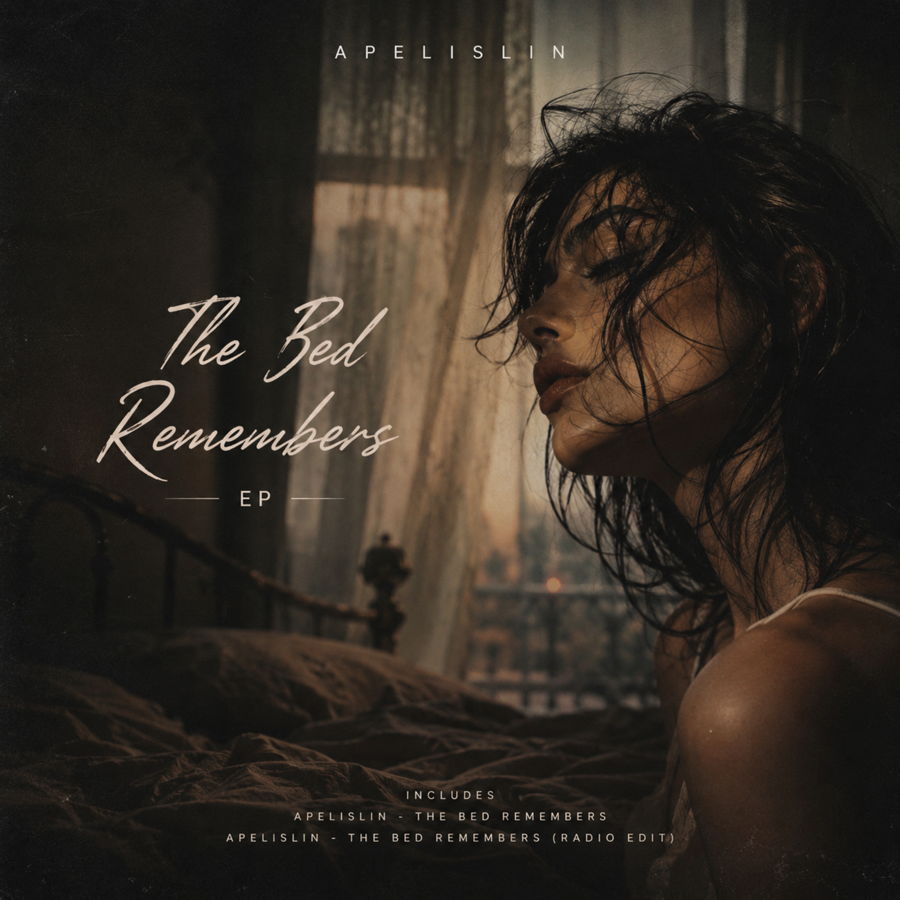 The Bed Remembers by Apelislin cover art