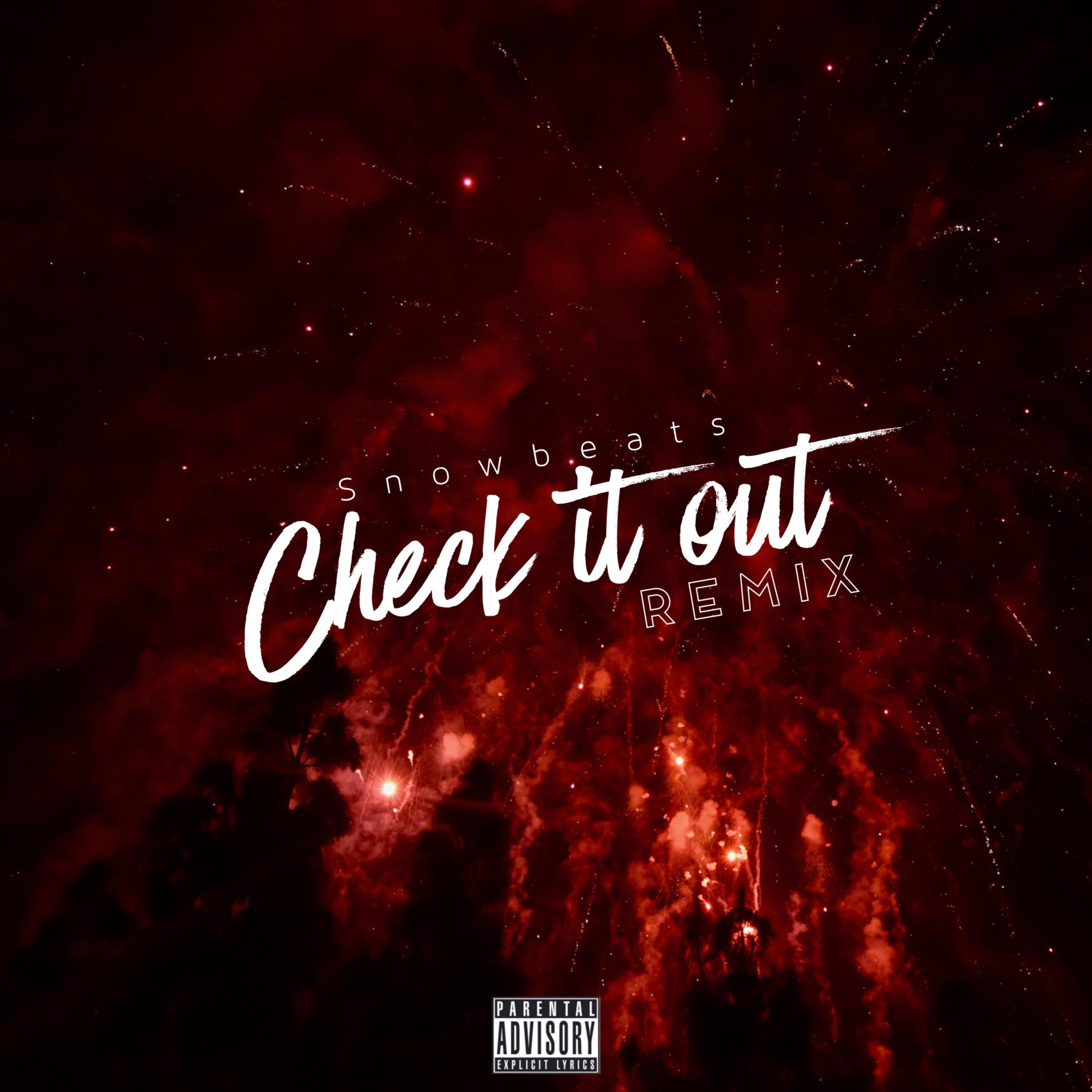 Check It Out (Remix) artwork