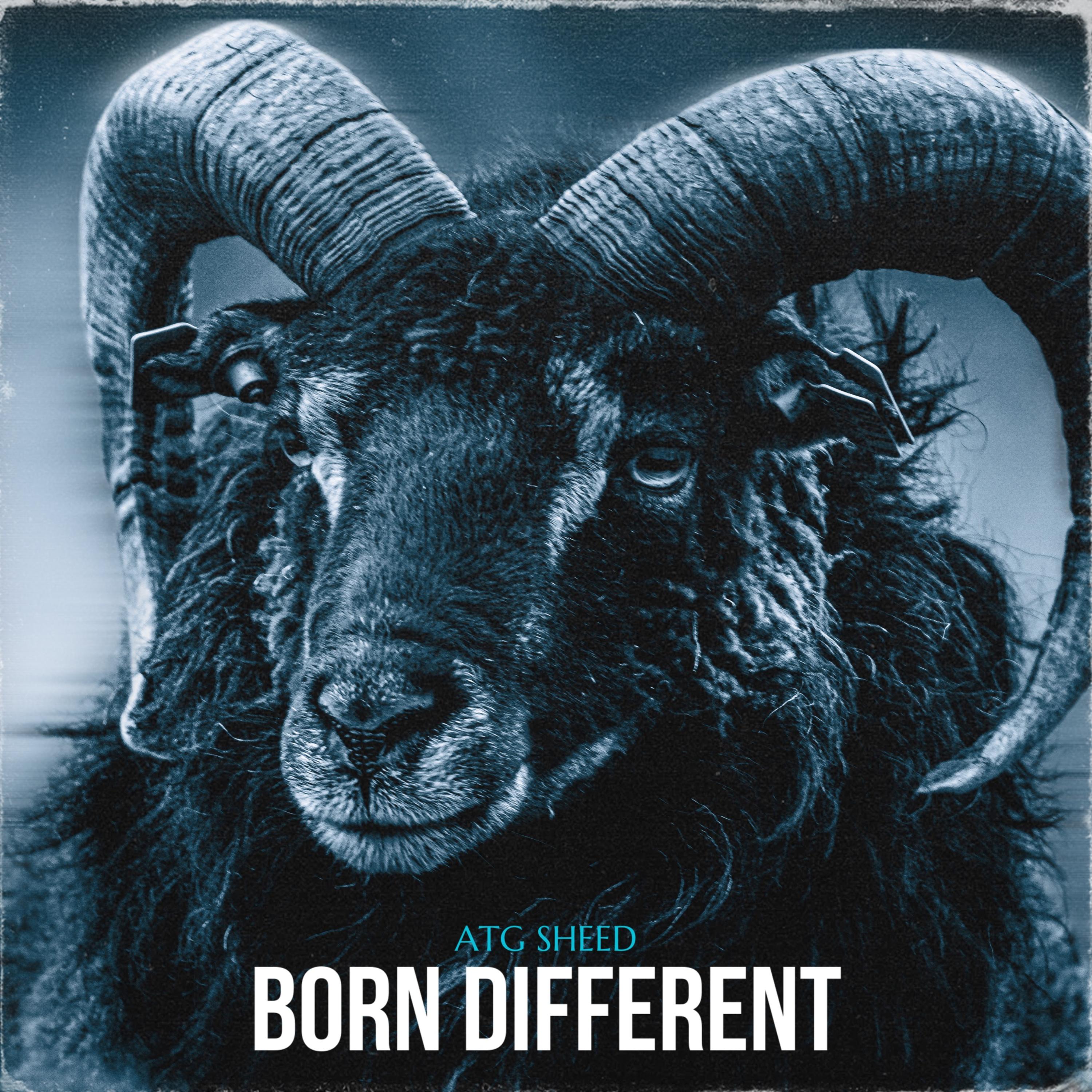 Born Different artwork