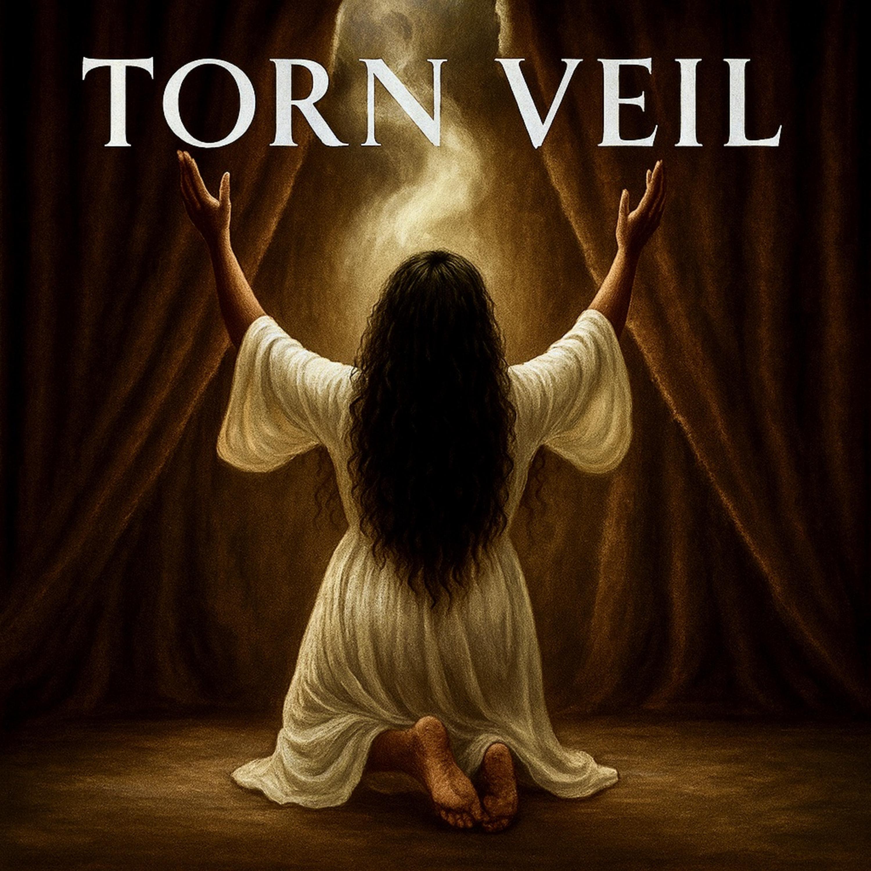 TORN VEIL artwork