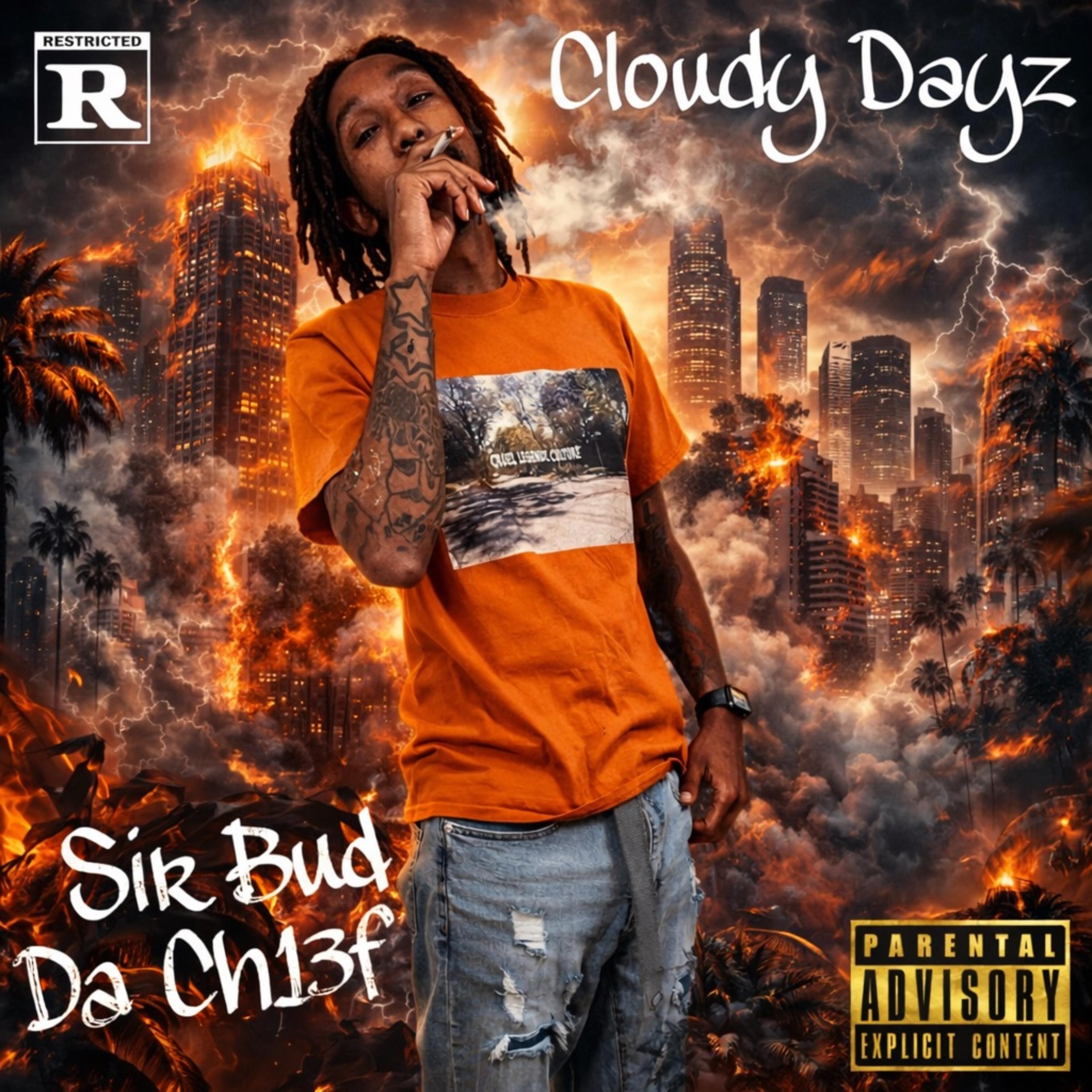 Cloudy Dayz artwork