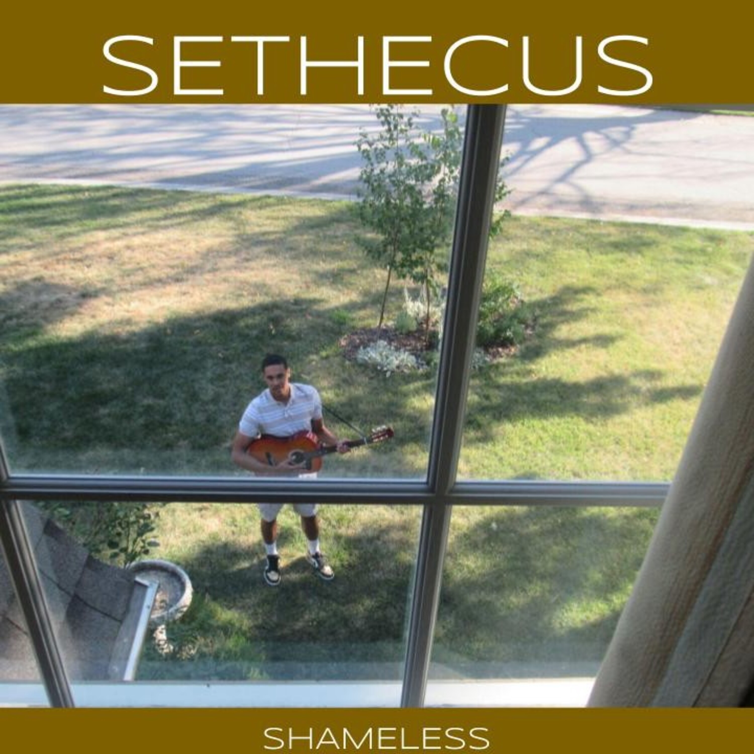 Shameless artwork