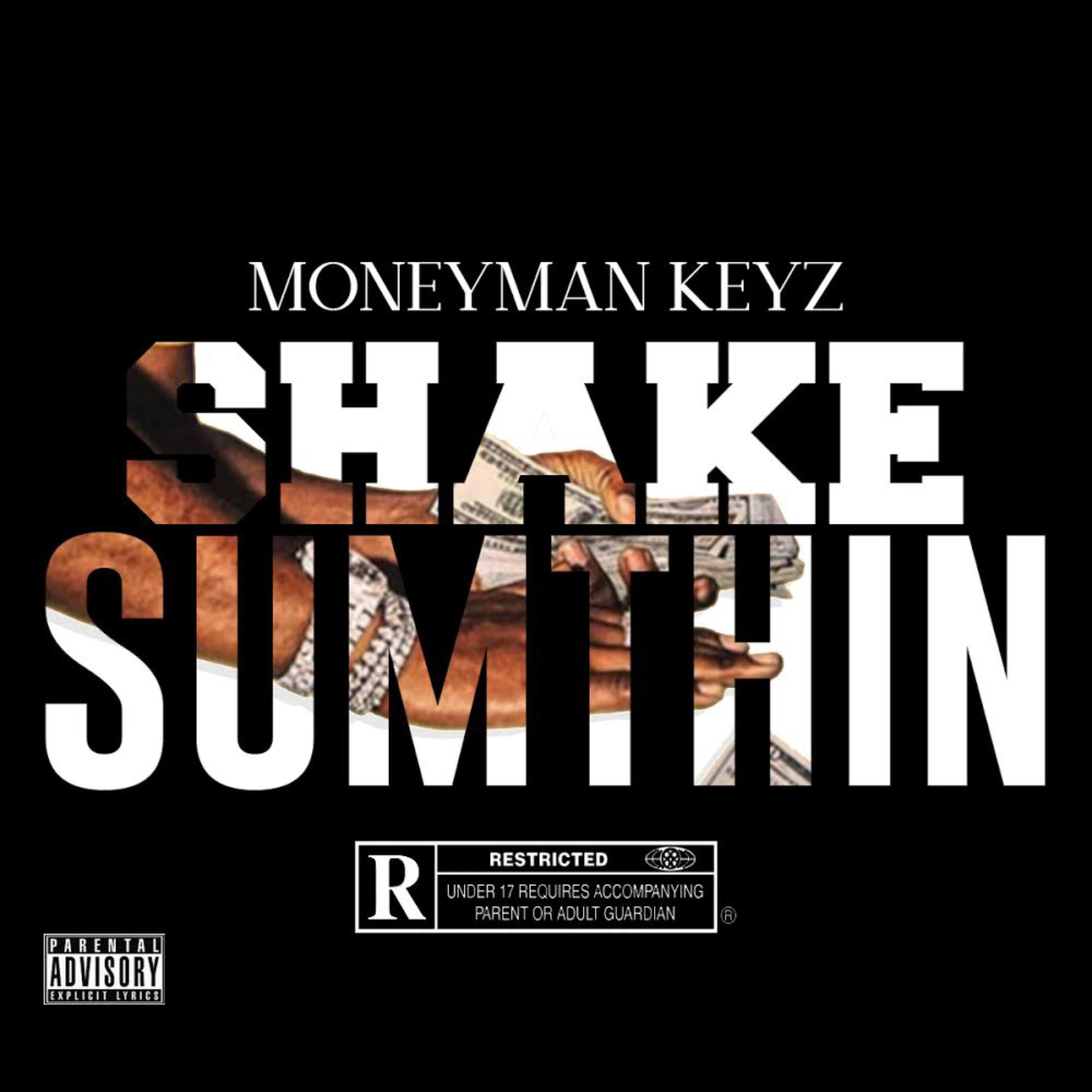Shake Sumthin artwork
