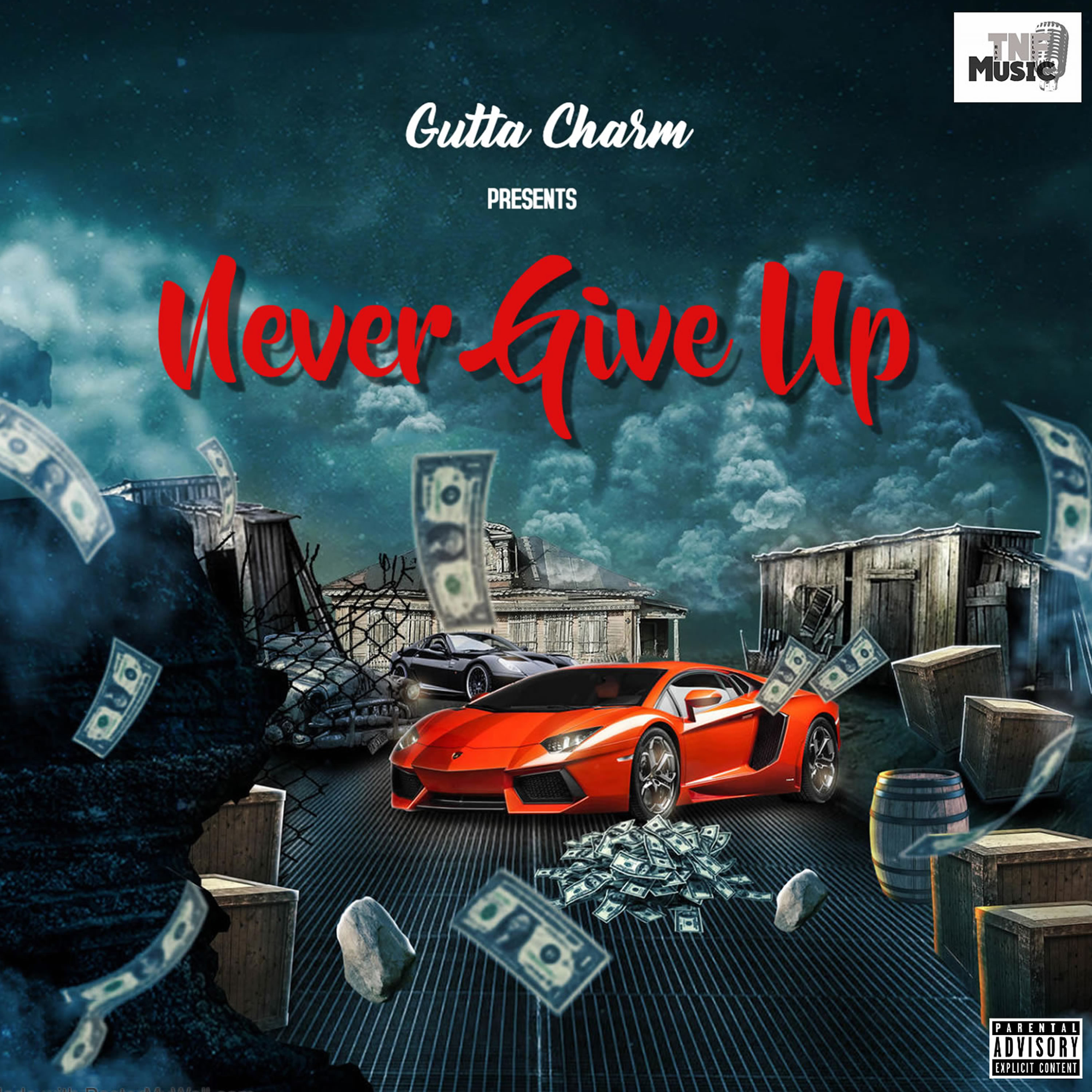 Never Give Up  artwork