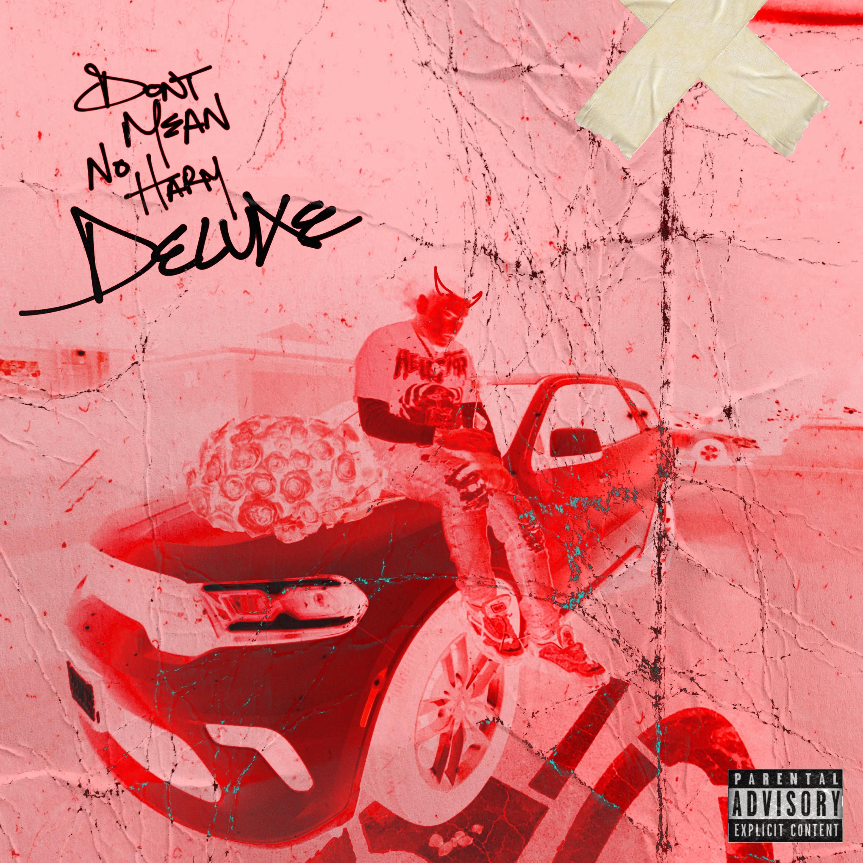 DONT MEAN NO HARM (Deluxe) artwork