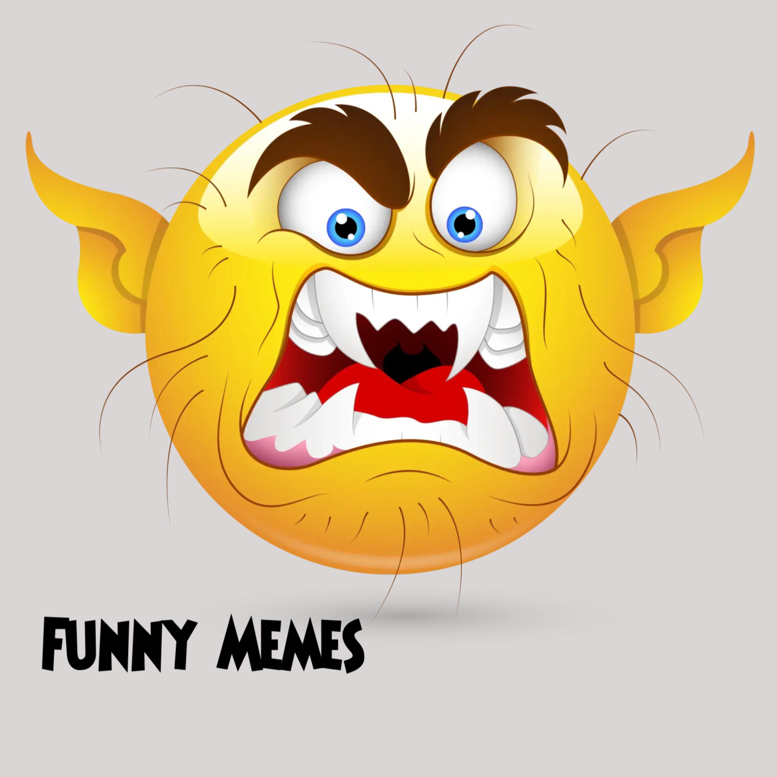 Funny Memes artwork