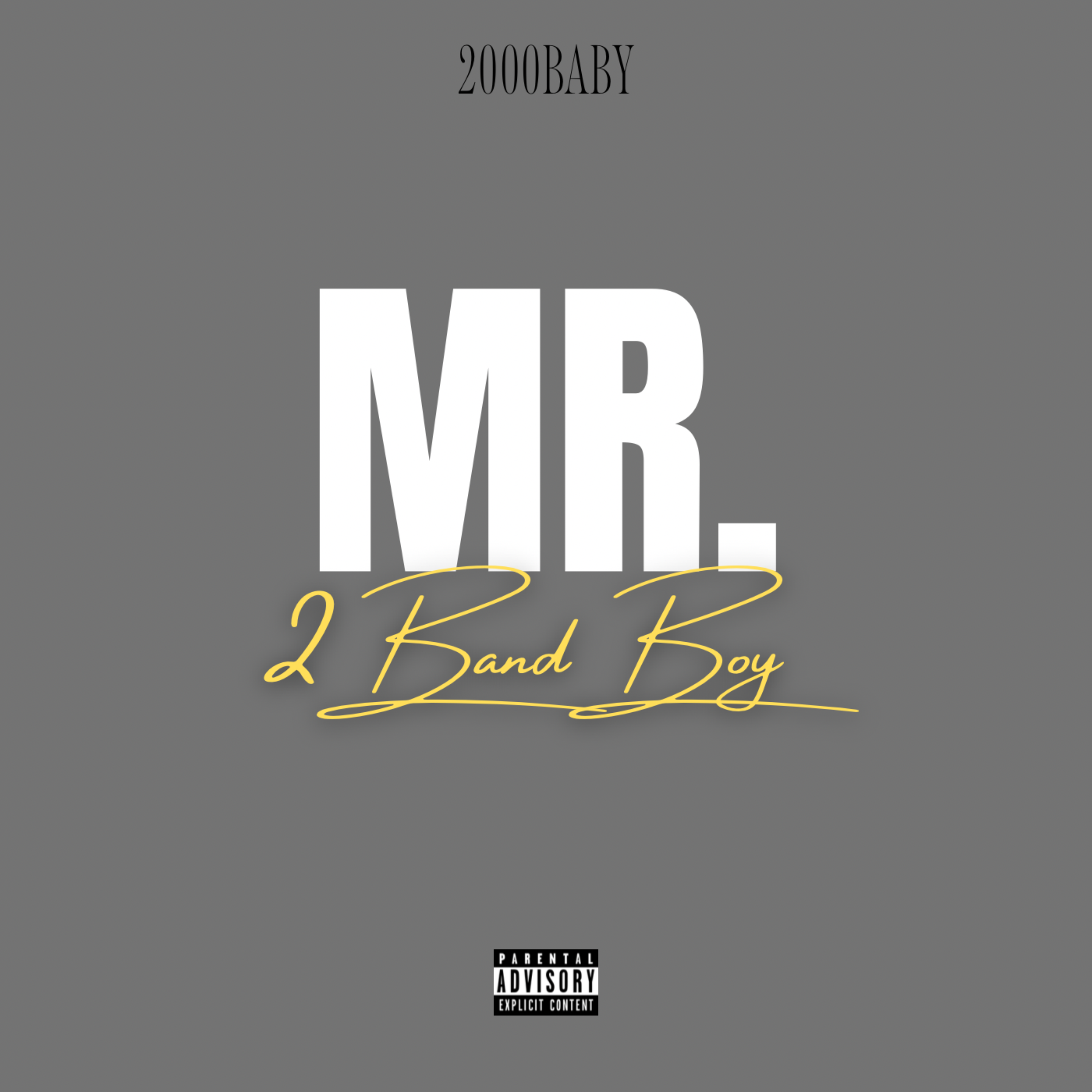 Mr. 2BandBoy by 2000Baby cover art