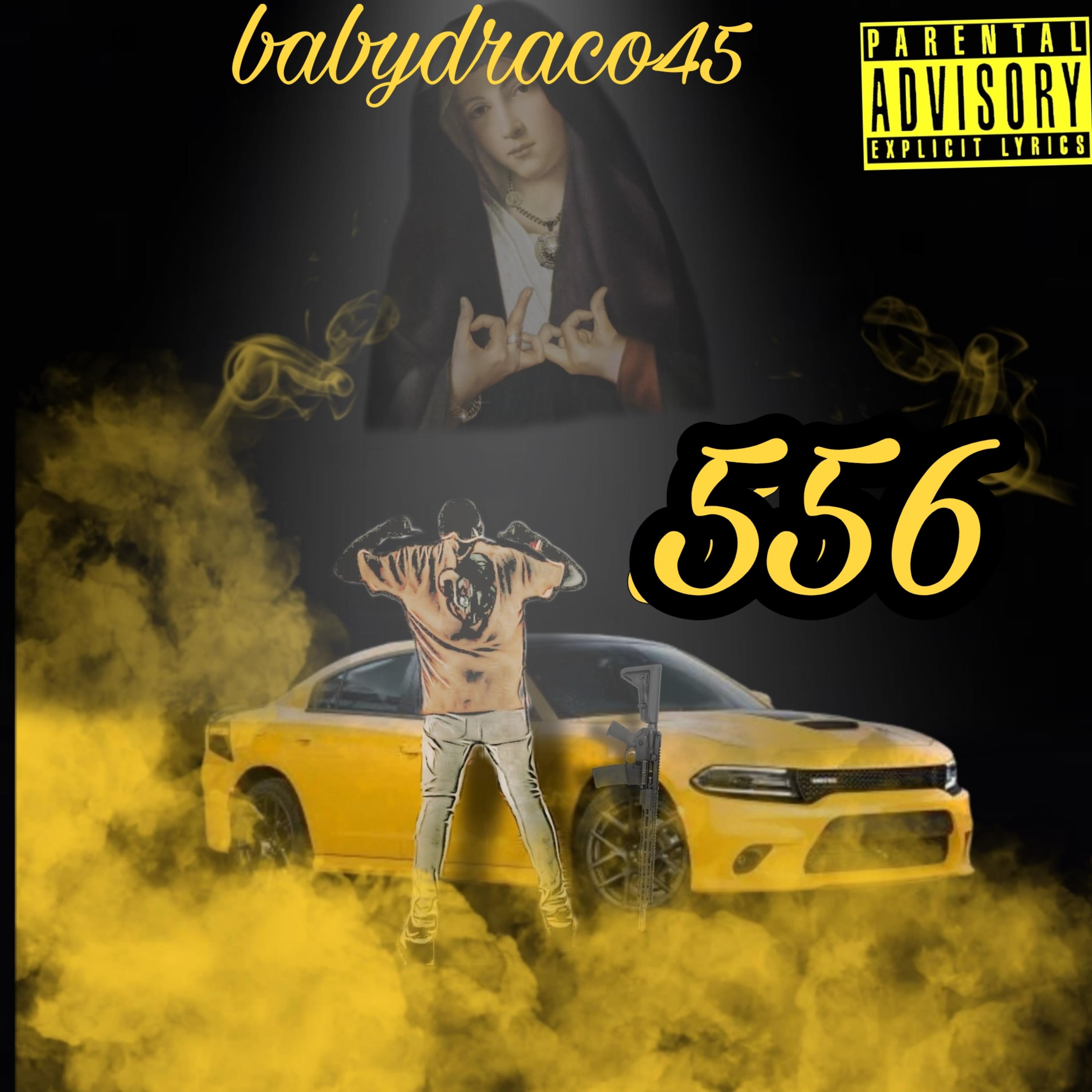 556 artwork