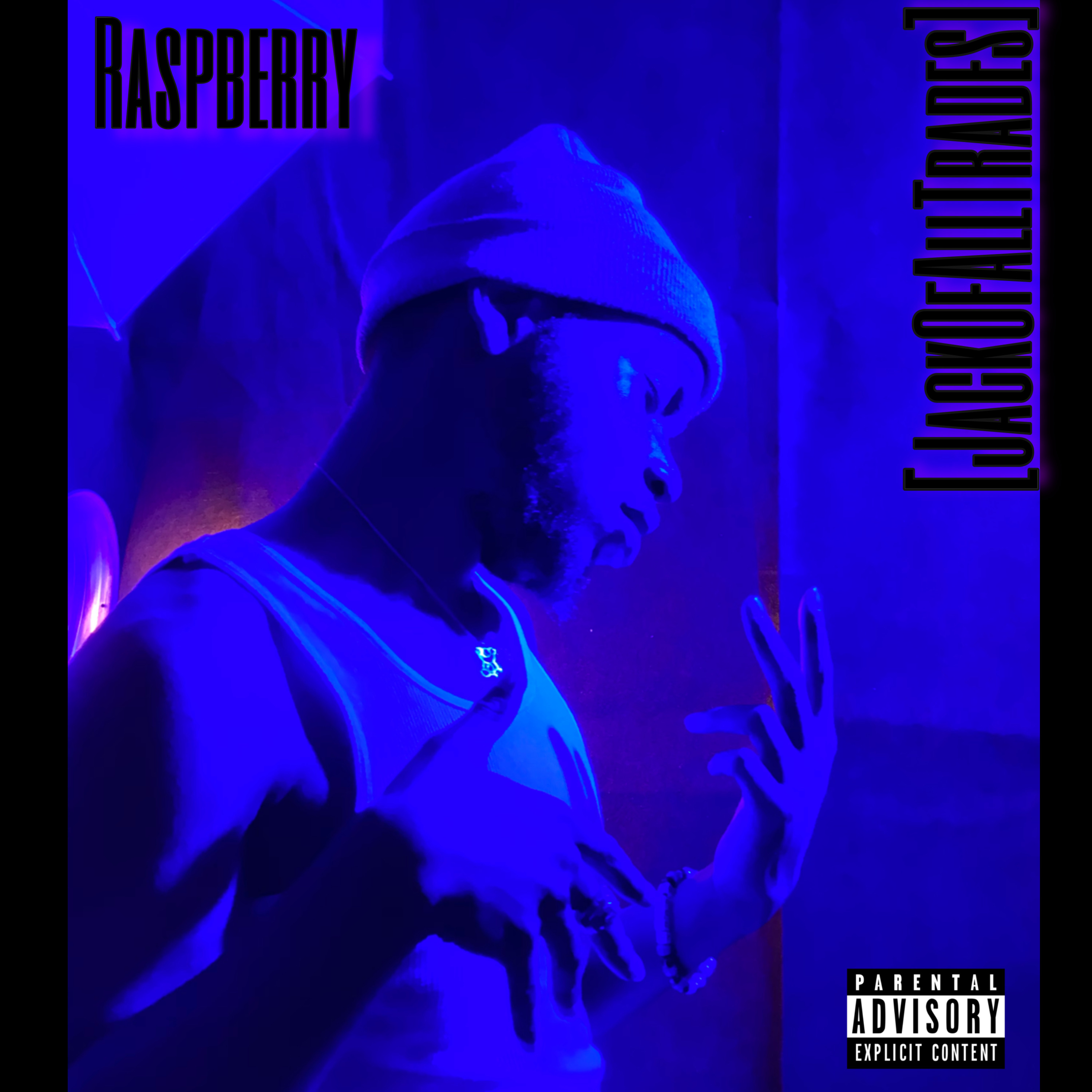 Raspberry artwork