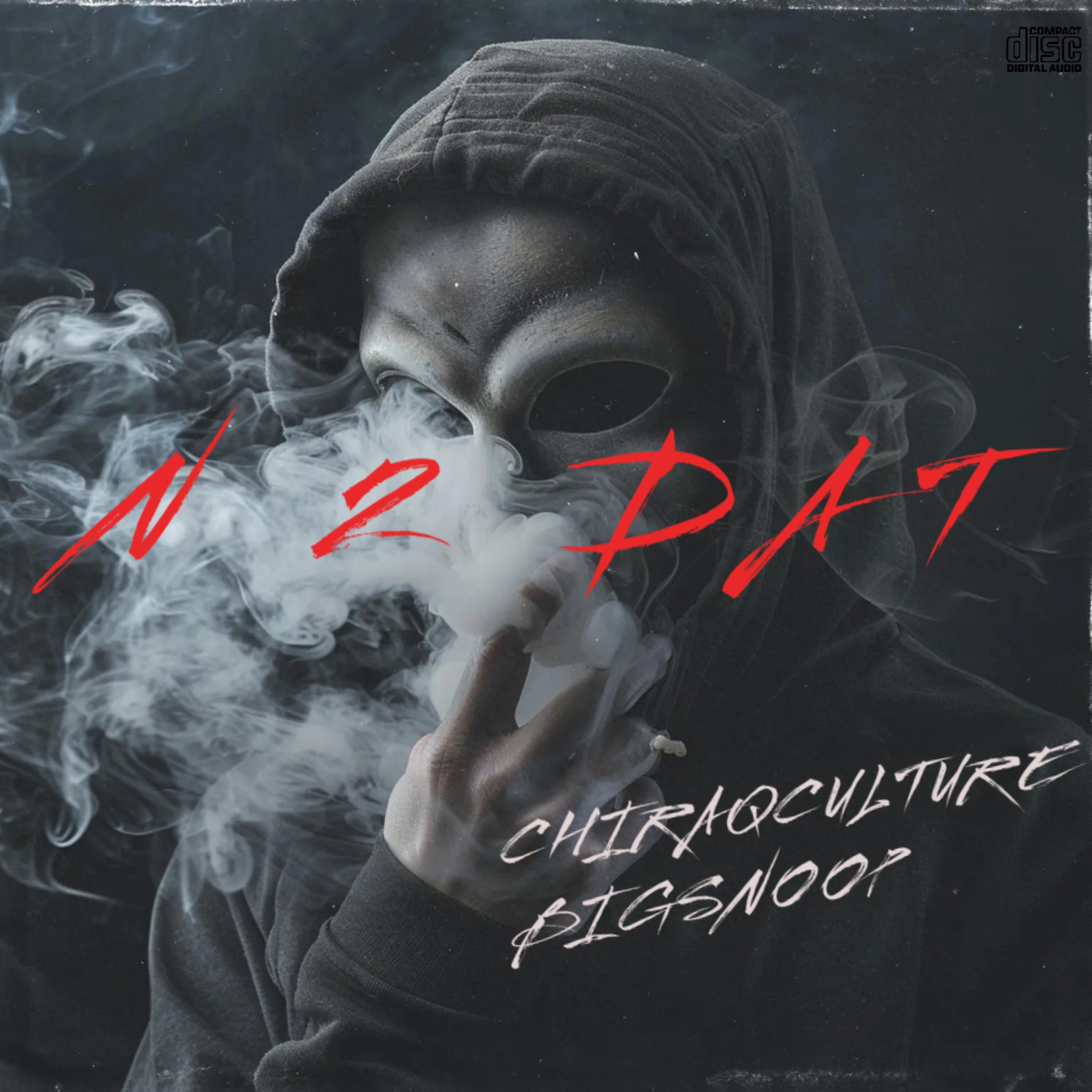 N 2 DAT artwork