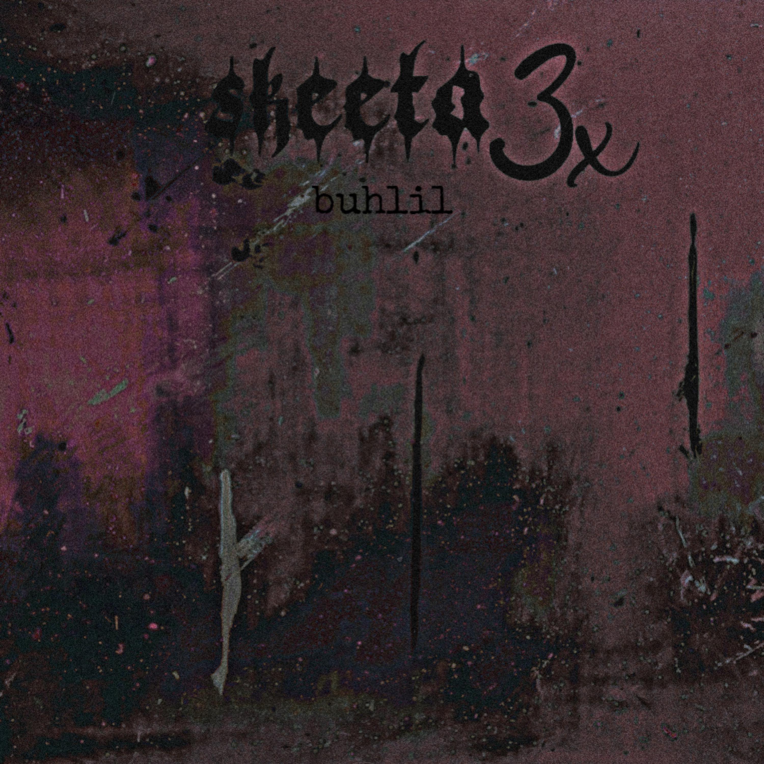 skeeta3x artwork