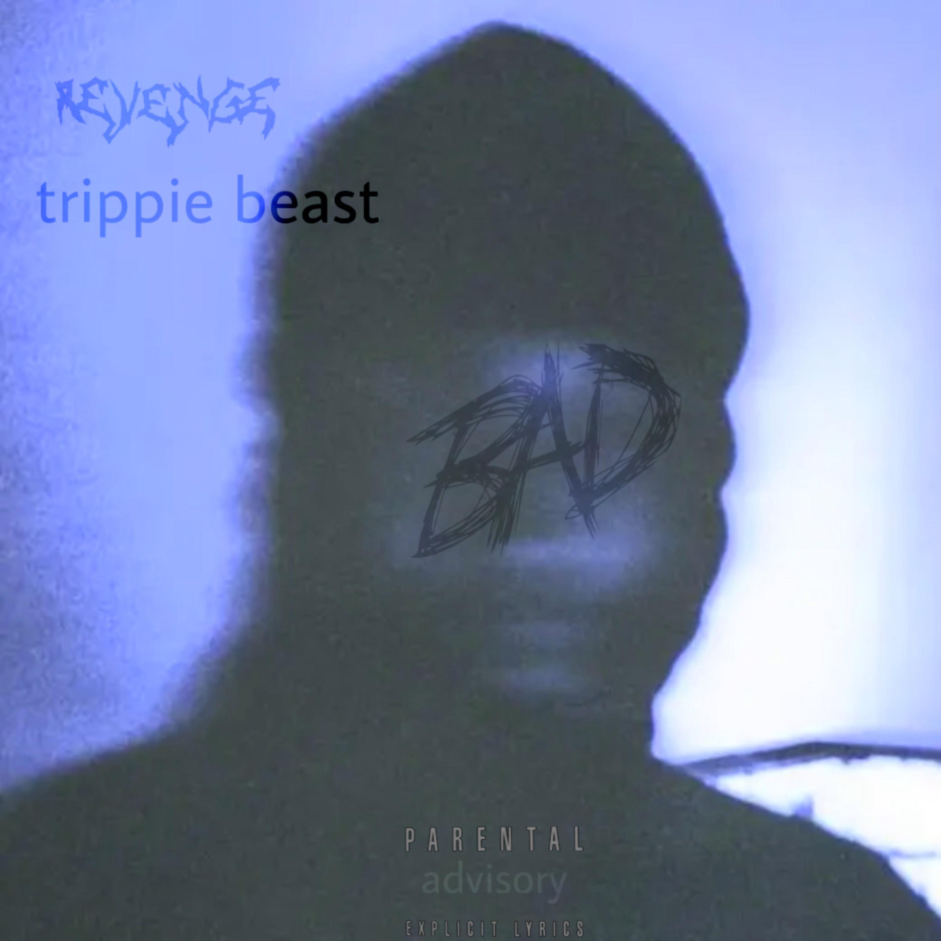 revenge artwork