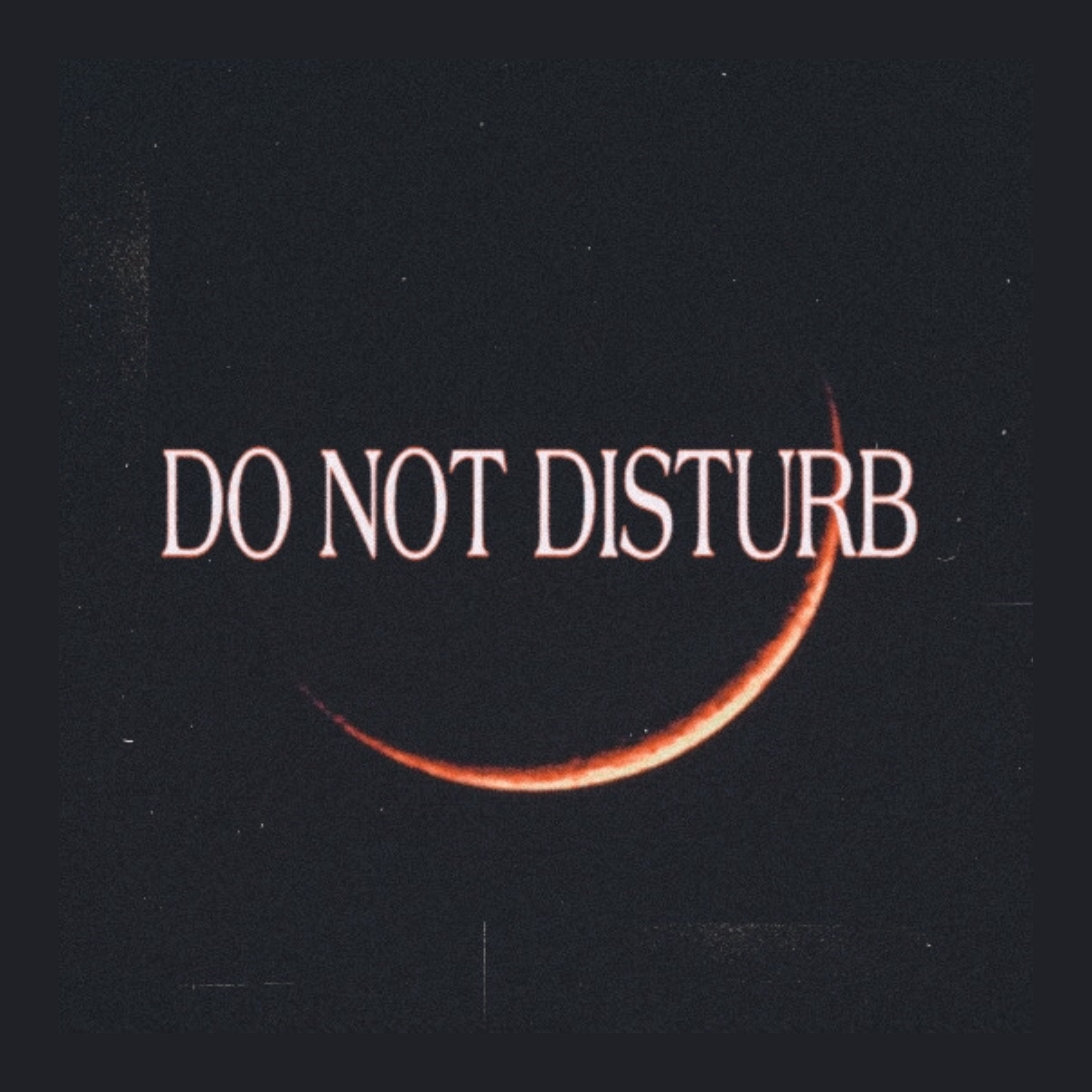 DO NOT DISTURB artwork