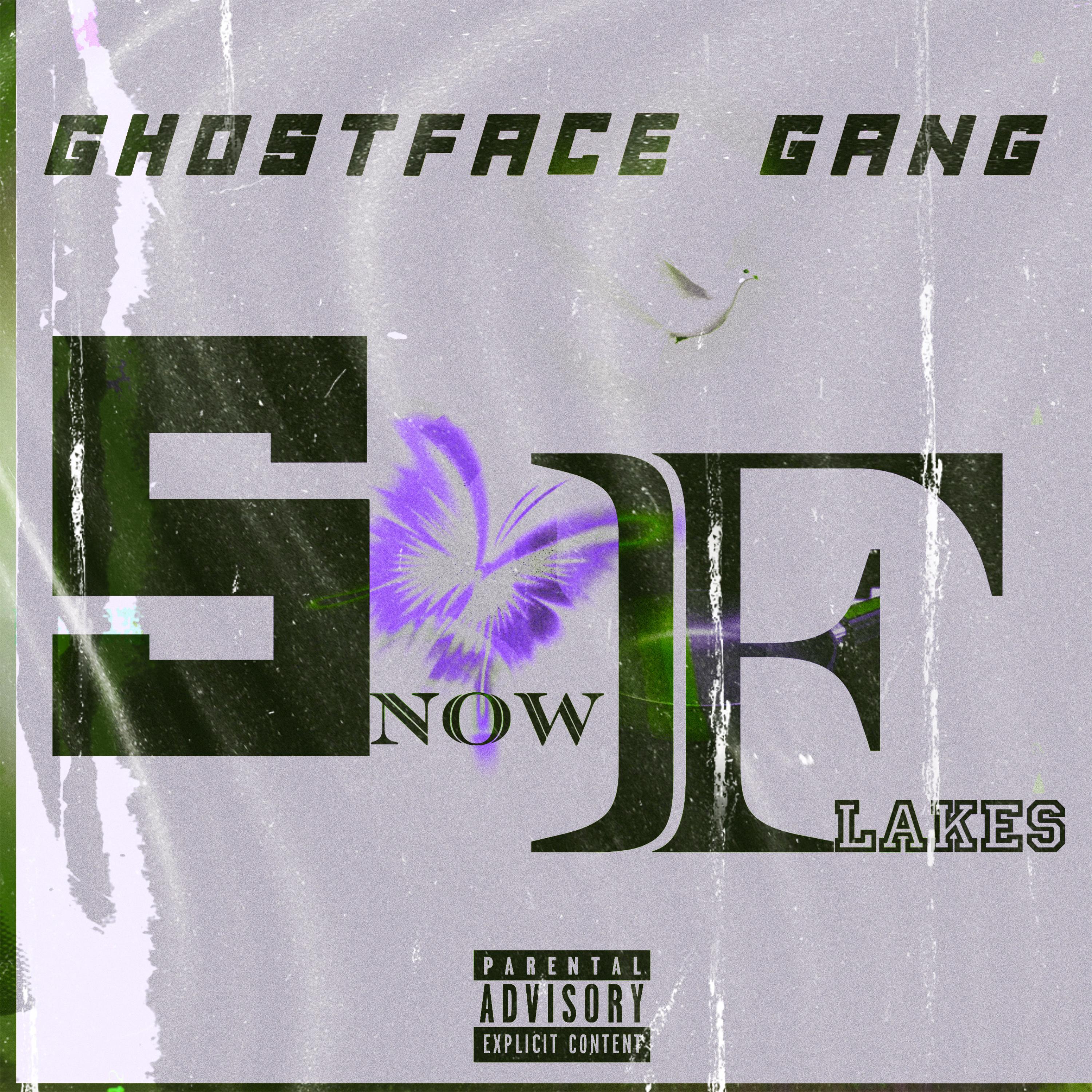 SNOW FLAKES artwork