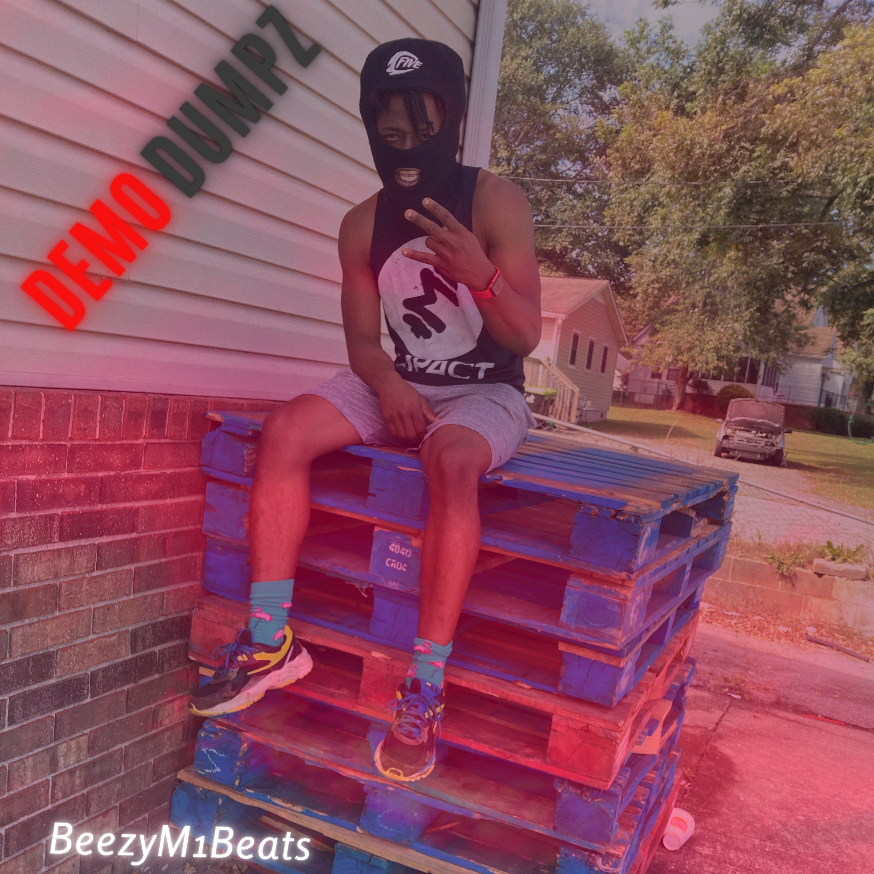 Demo Dumpz artwork