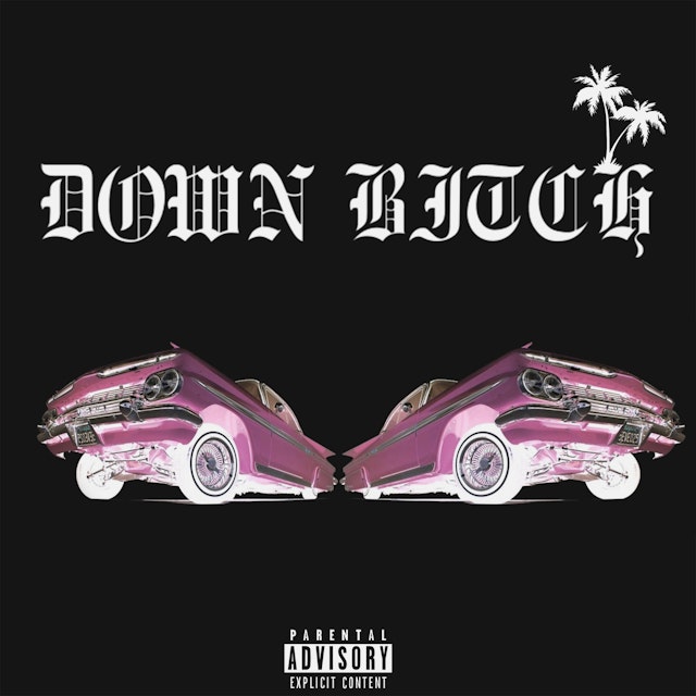 Dj freeze. Down bitch. Down bitch. Down bitch. Down bitch.