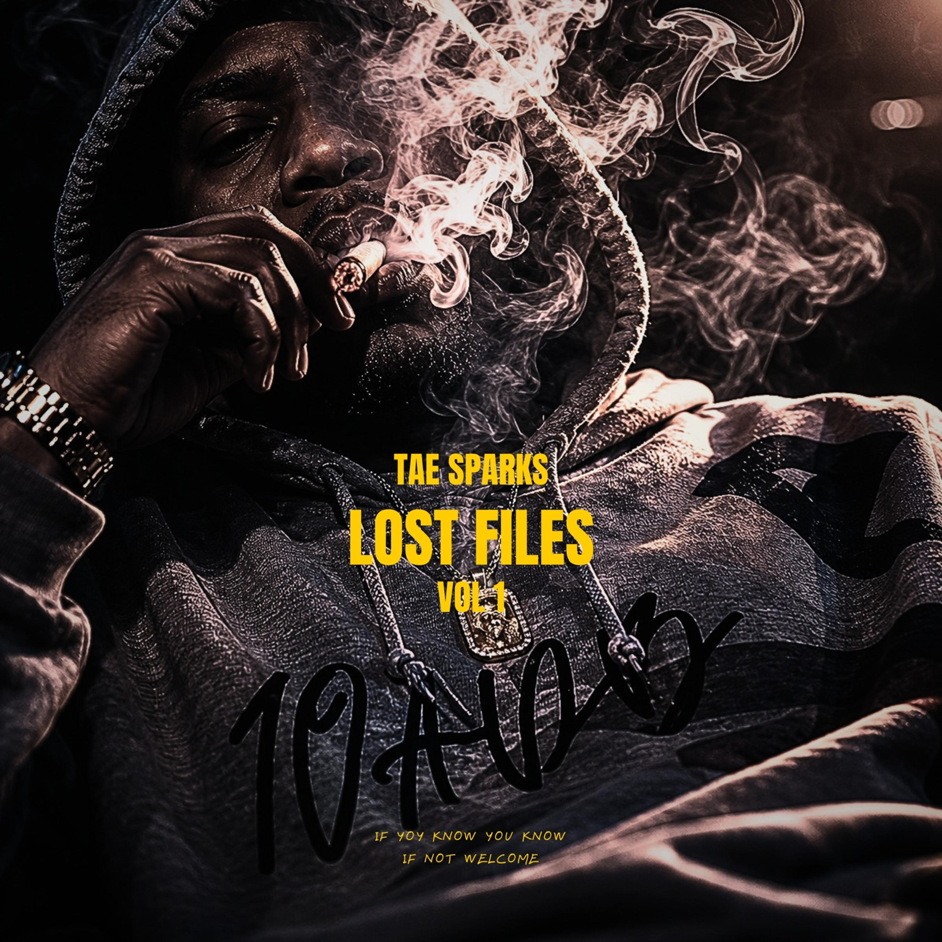 Lost Files by Tae Sparks cover art