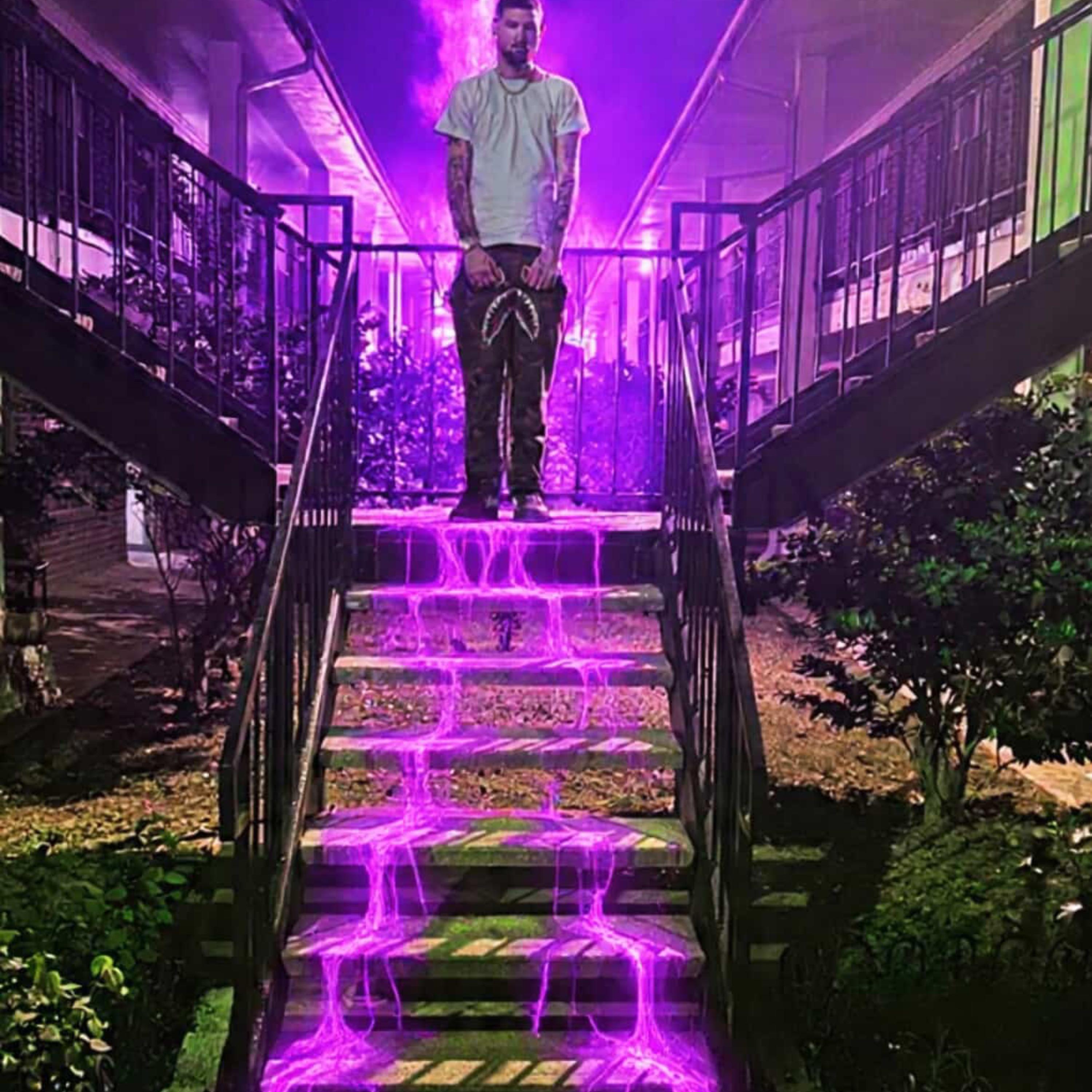 In The Bity artwork