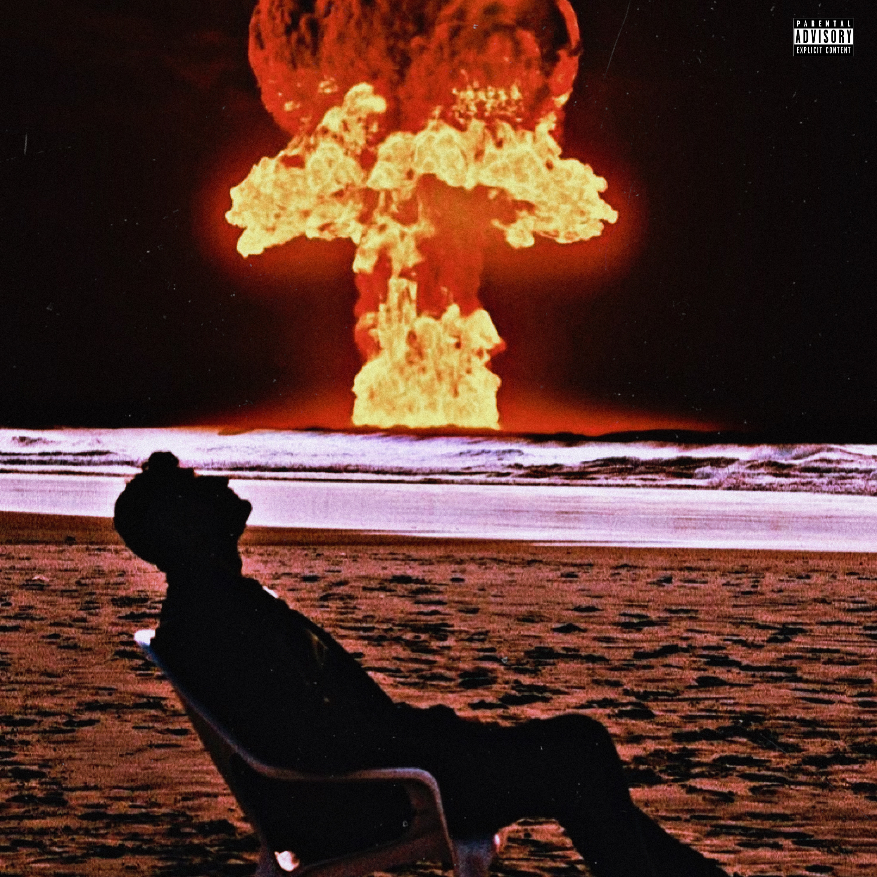 Only The Chief artwork