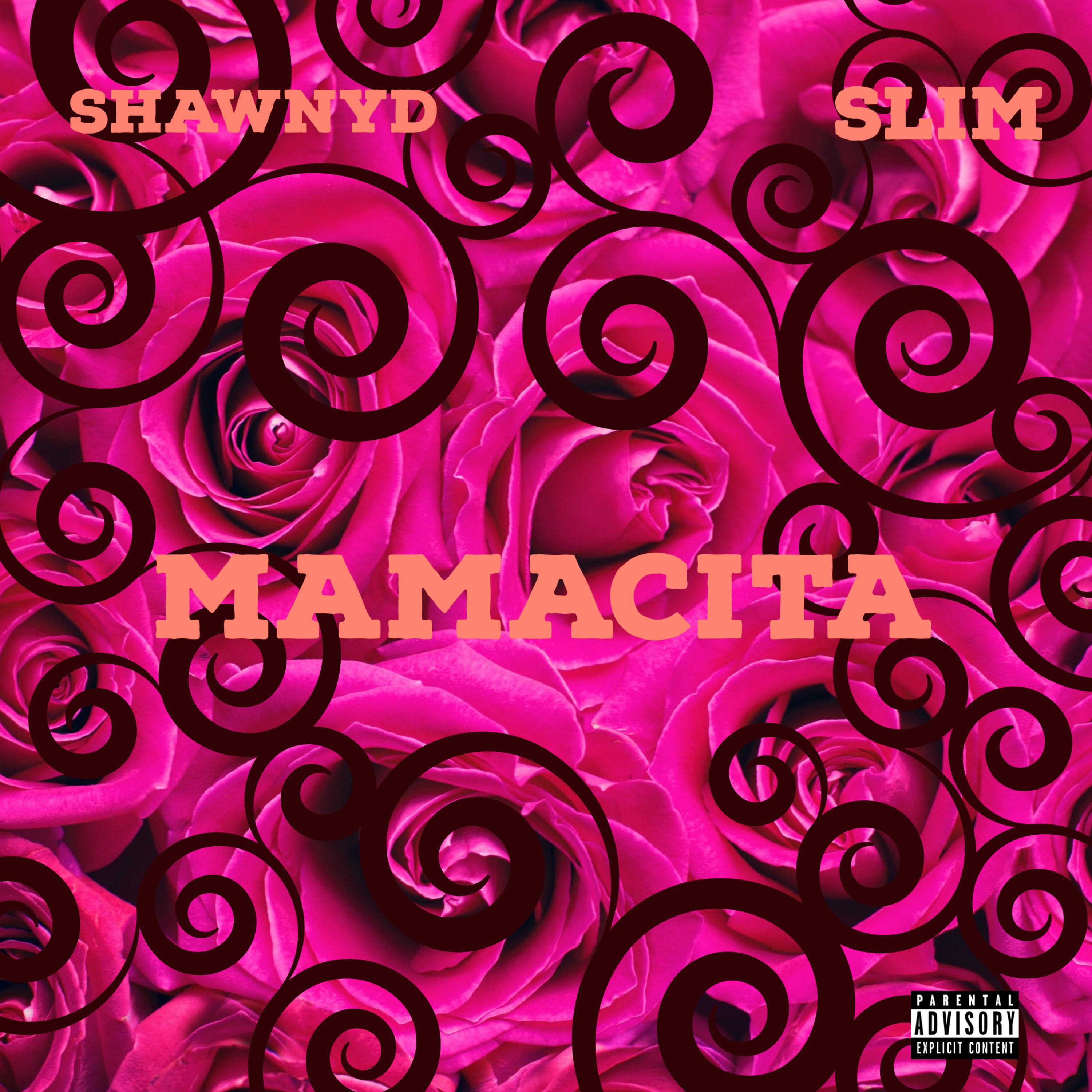 MAMACITA artwork