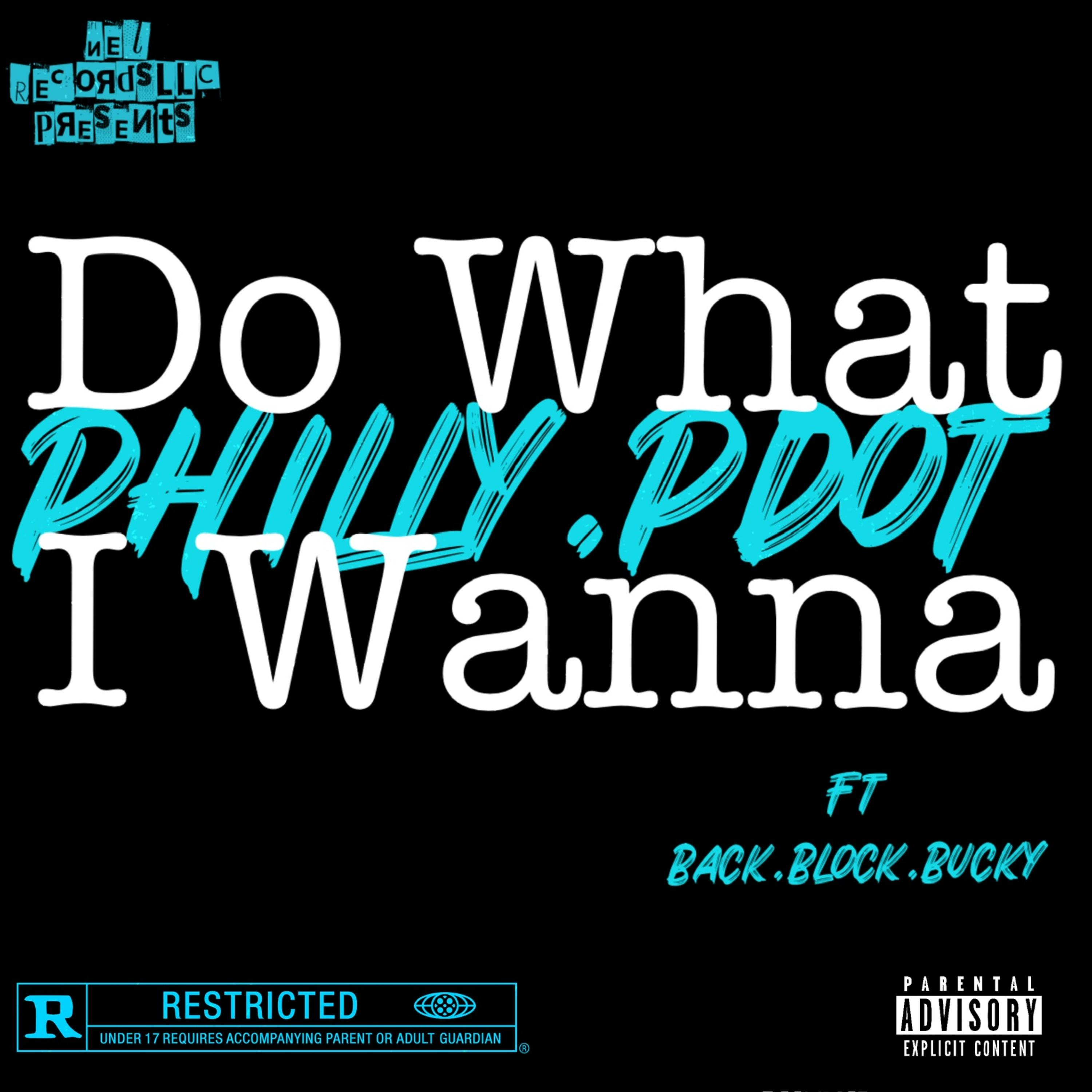 Do What I Wanna artwork
