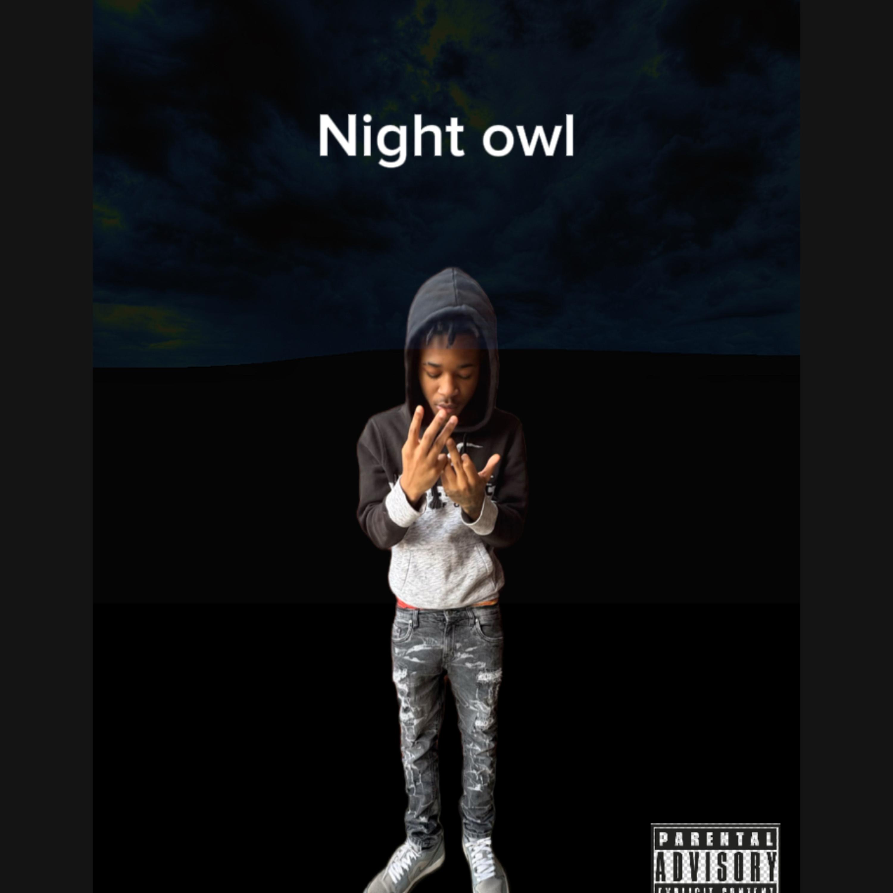 Night owl artwork