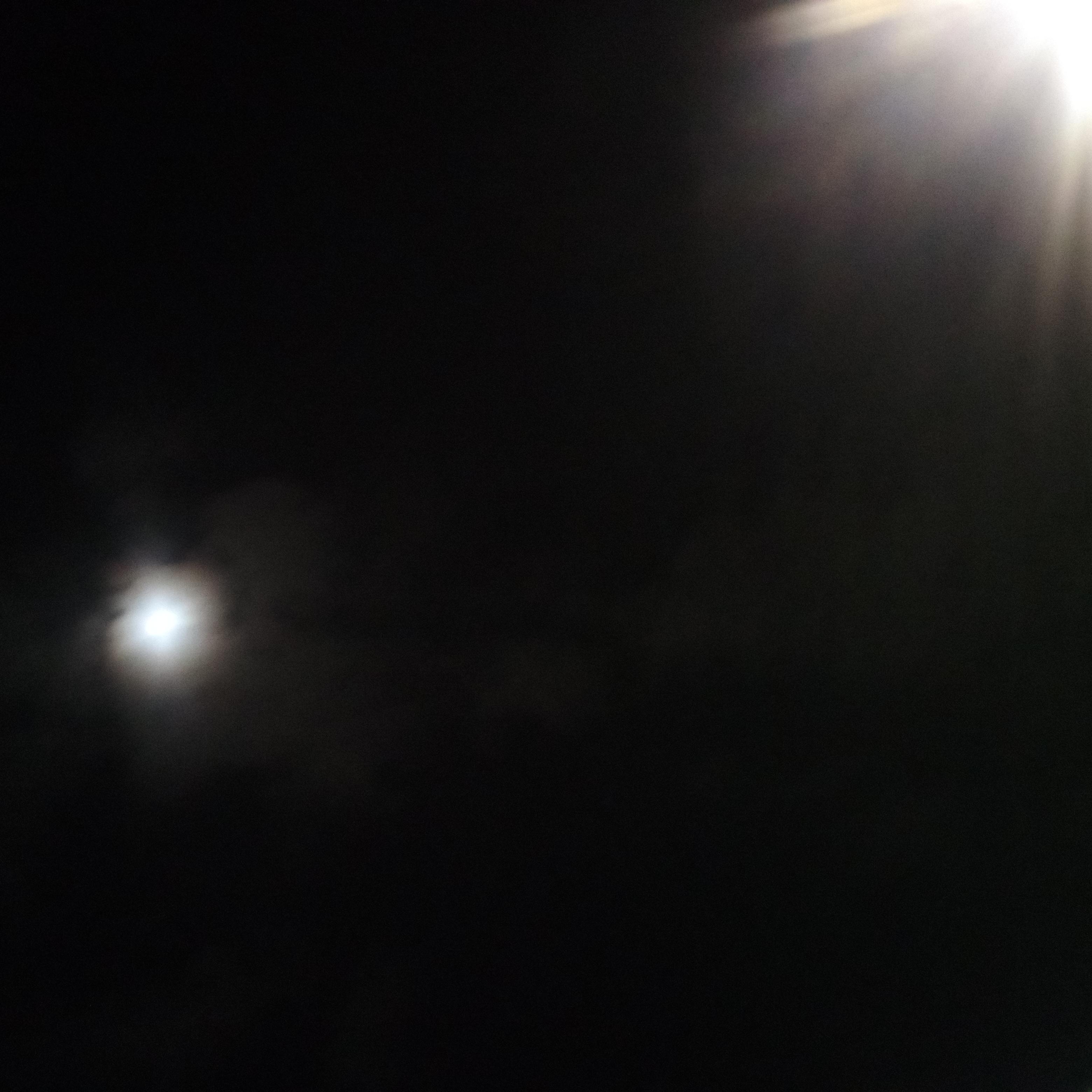 "Biofeedback Synchronicity artwork