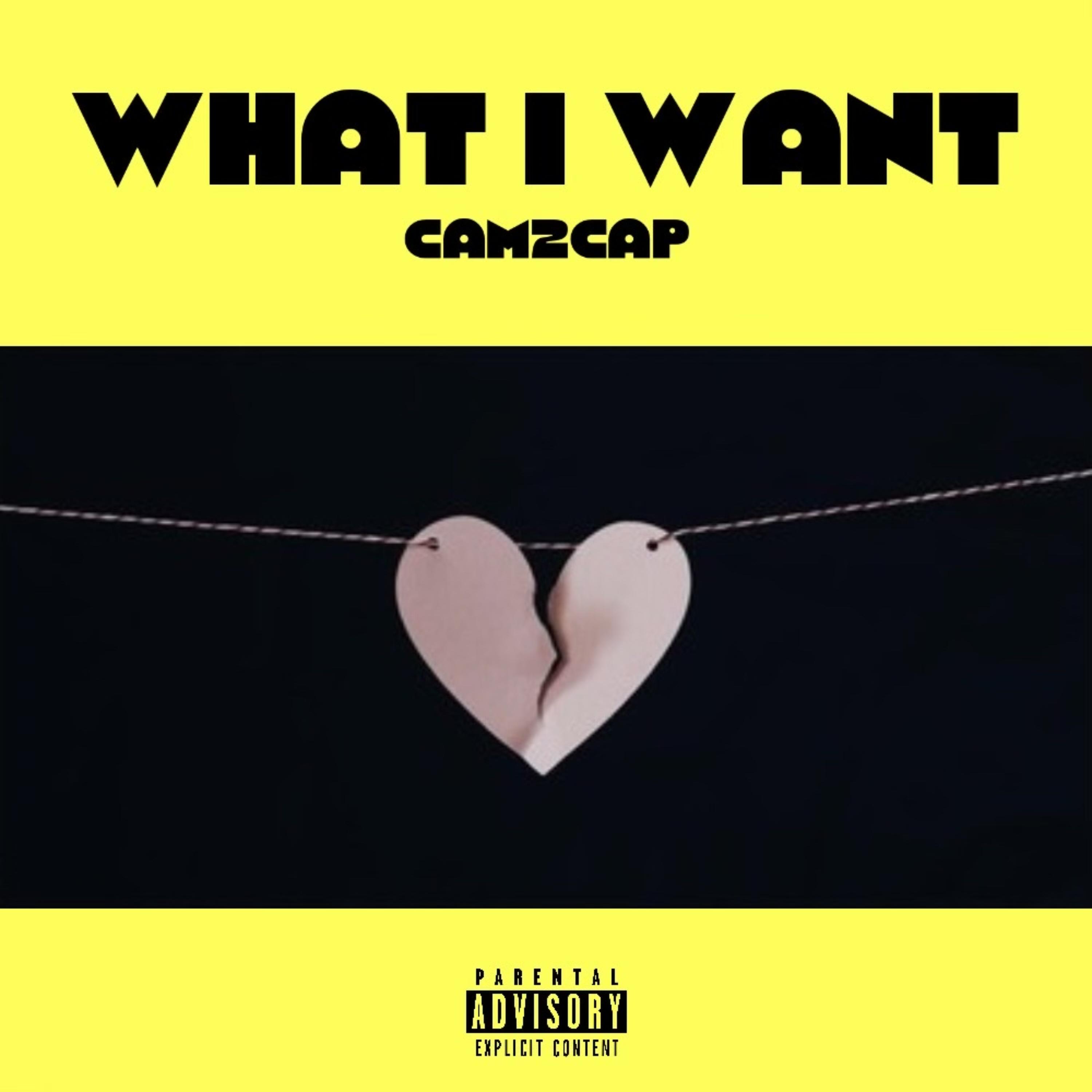 What I Want by Cam2Cap cover art