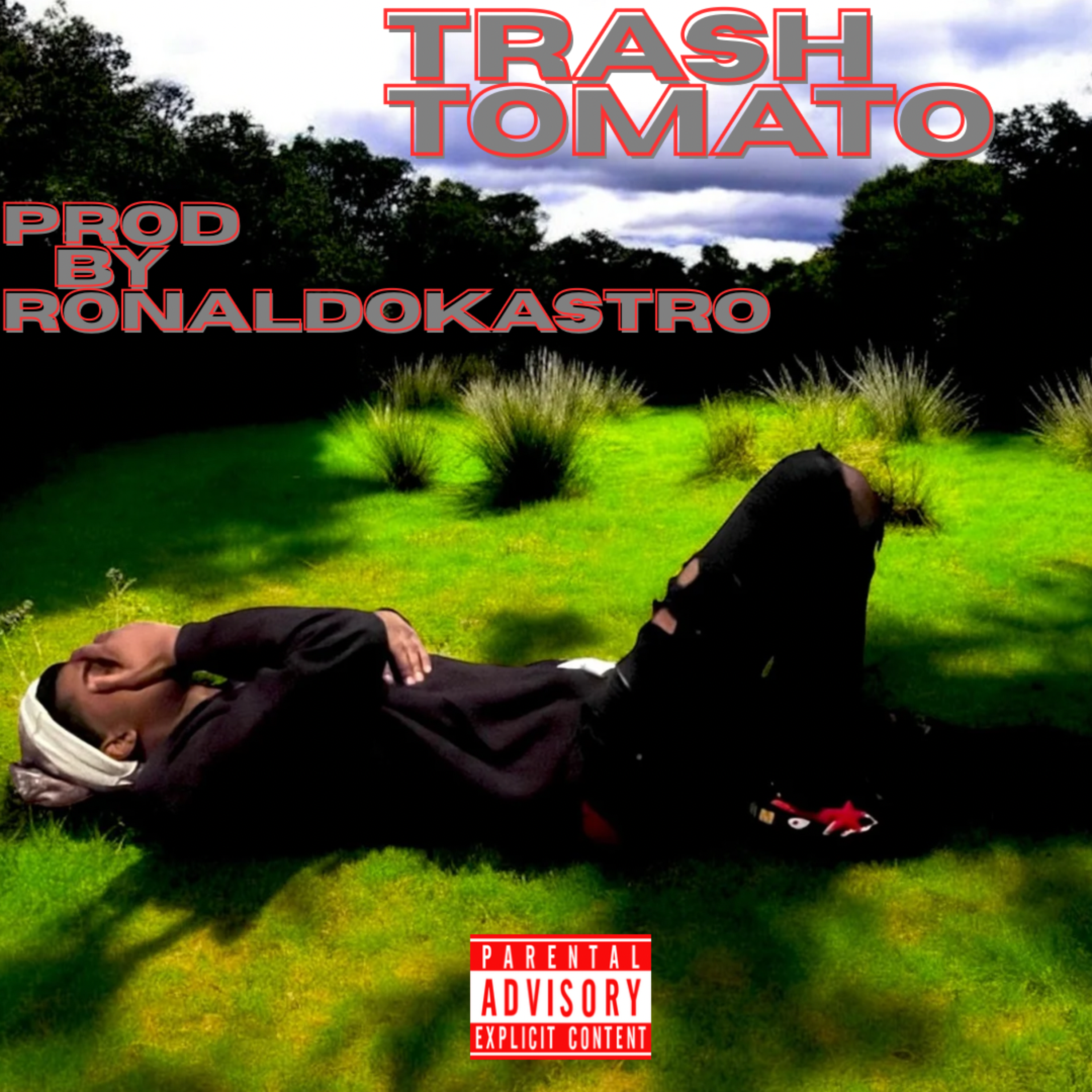 Trash Tomato artwork