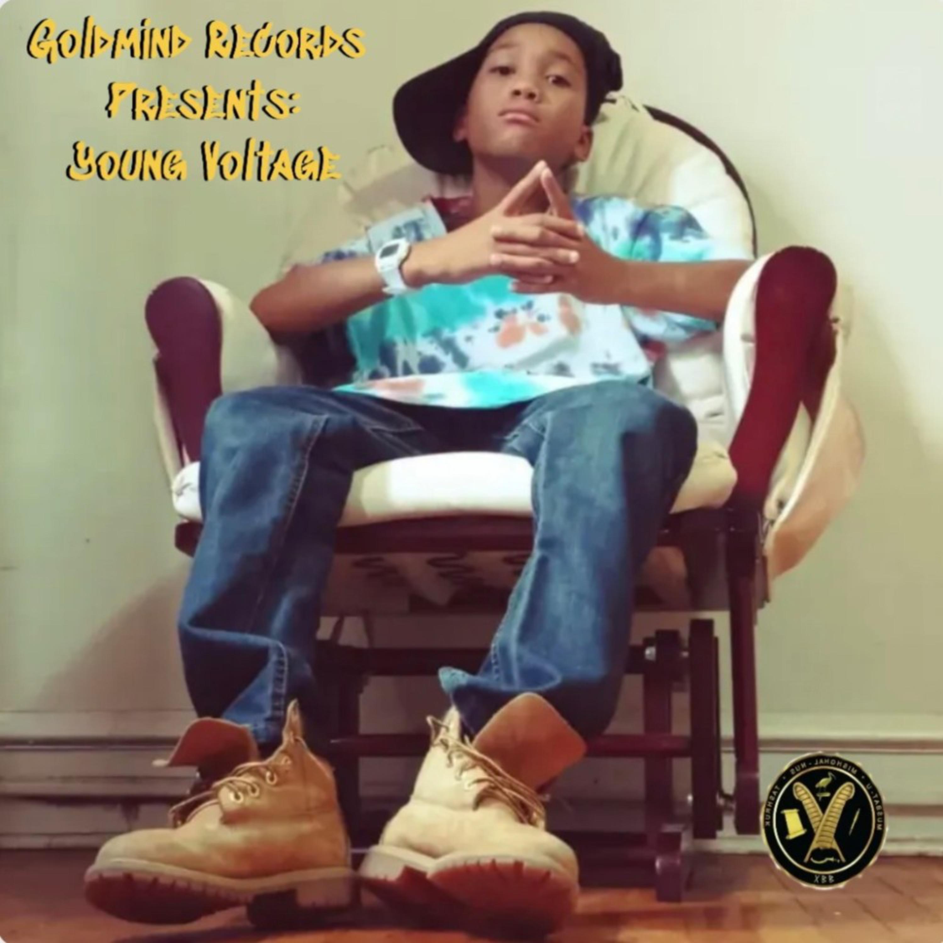 Young Voltage artwork