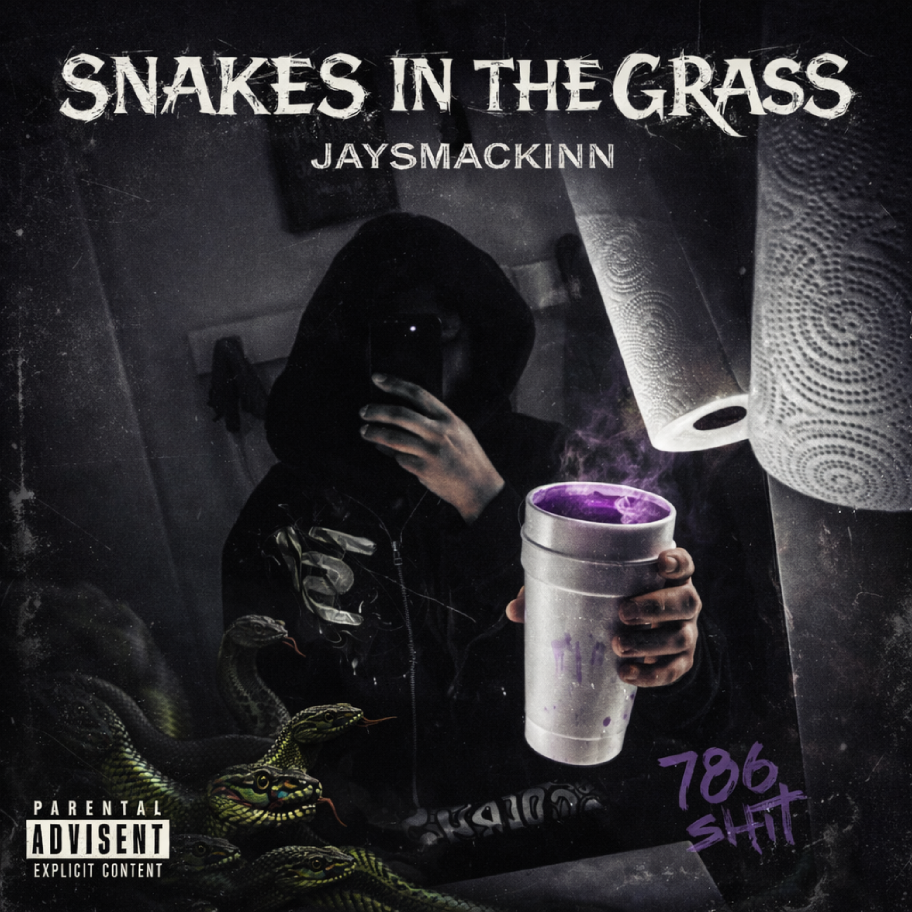 Snakes Inna Grass artwork
