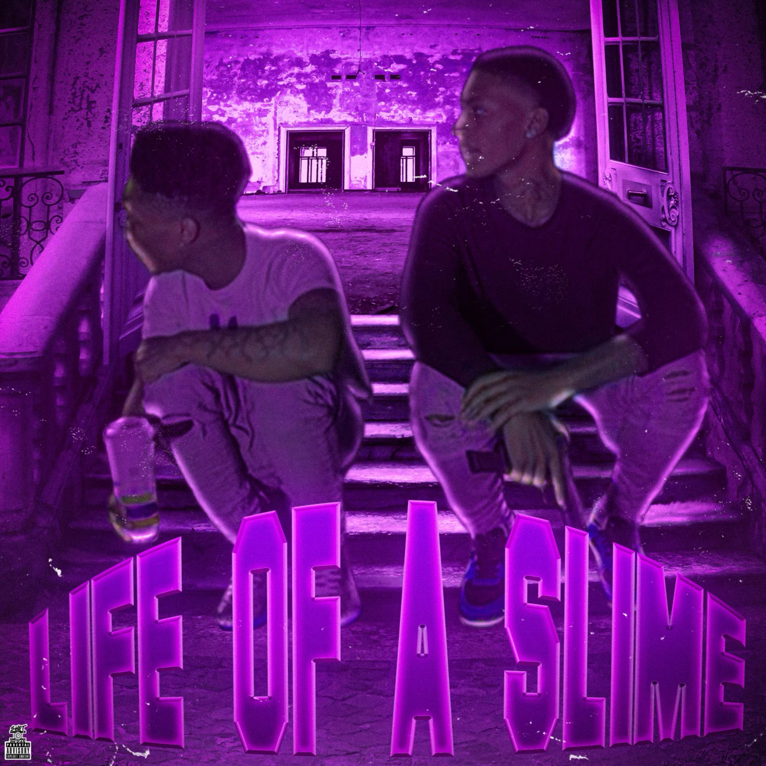 Life of A Slime artwork