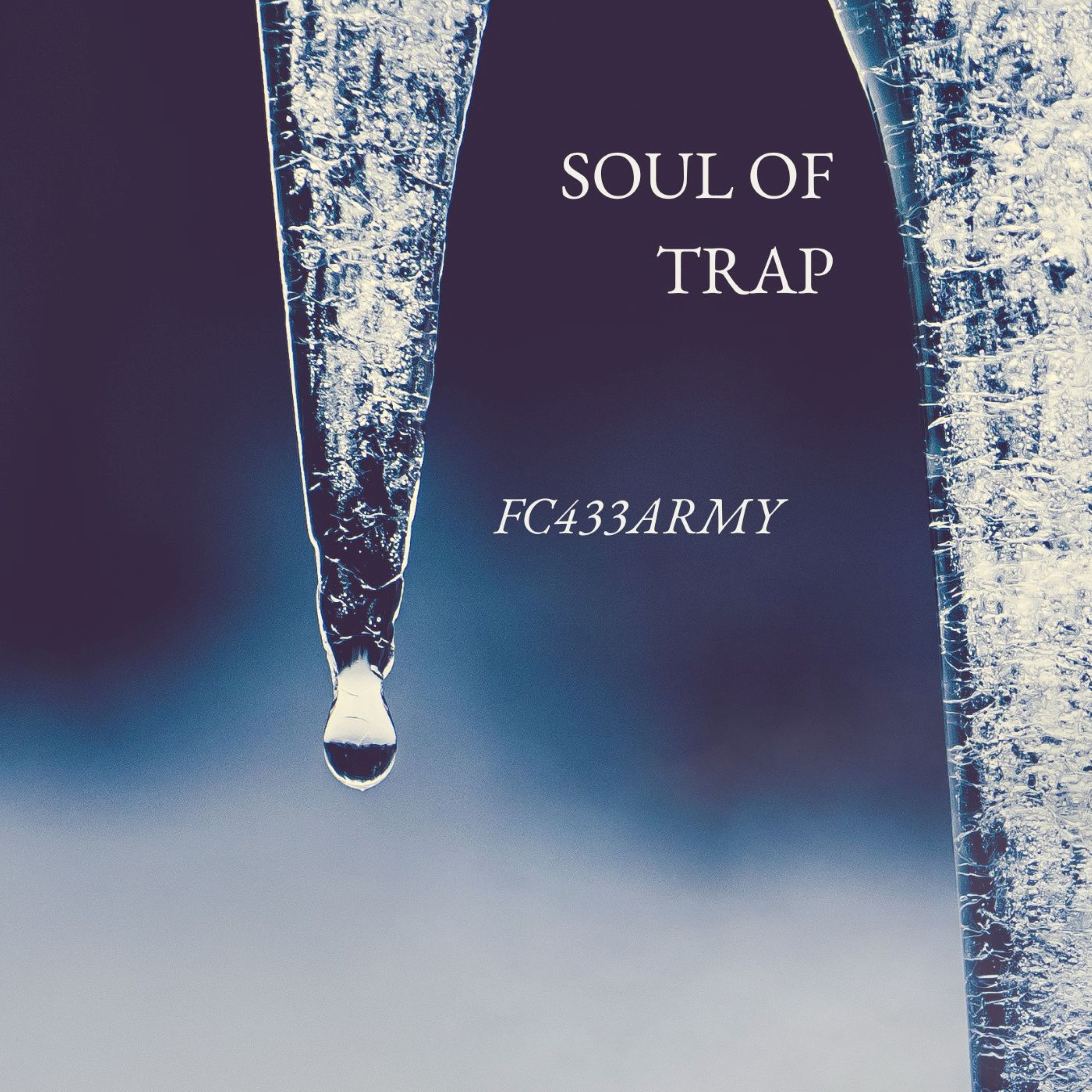 Soul Of Trap artwork