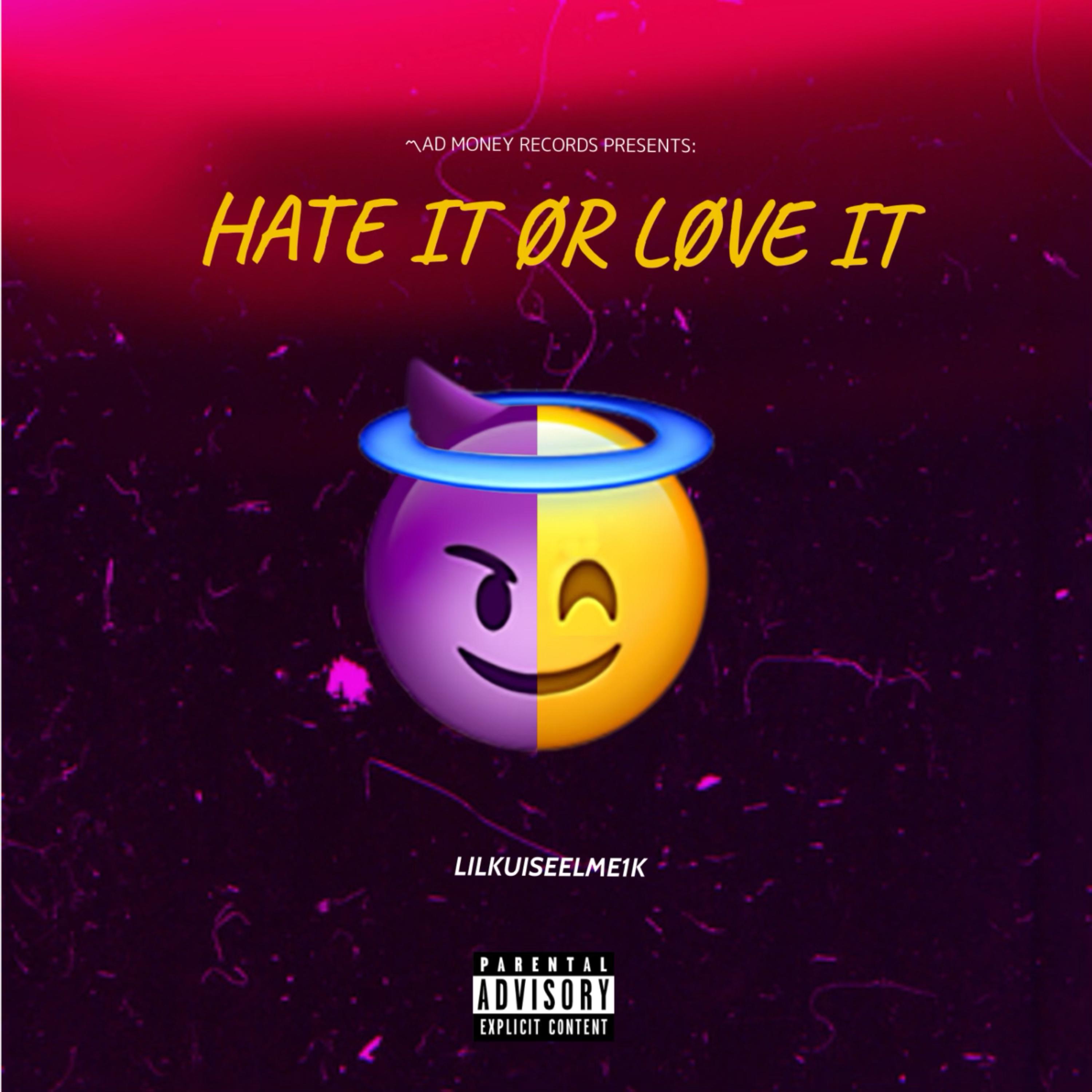 HATE IT OR LOVE IT artwork